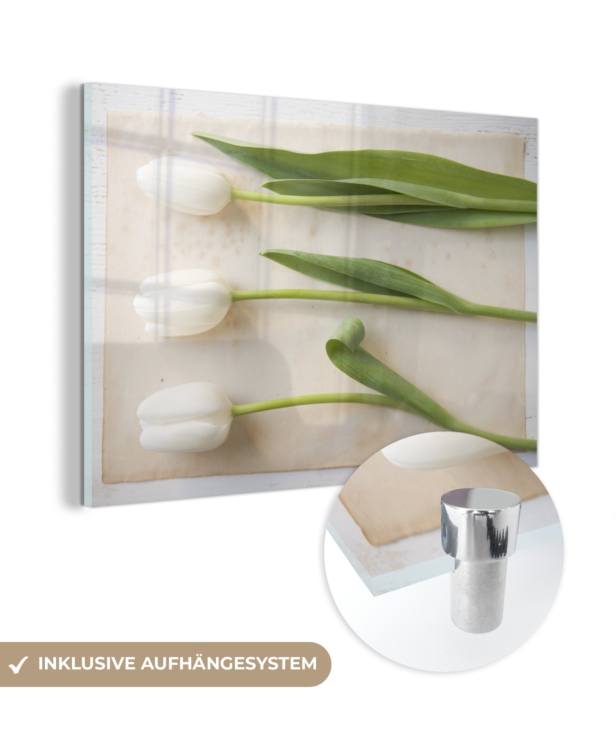 MuchoWow Acrylglasbild Drei weiße Tulpen, (1 St), Acrylglasbilder Wohnzimmer & Schlafzimmer