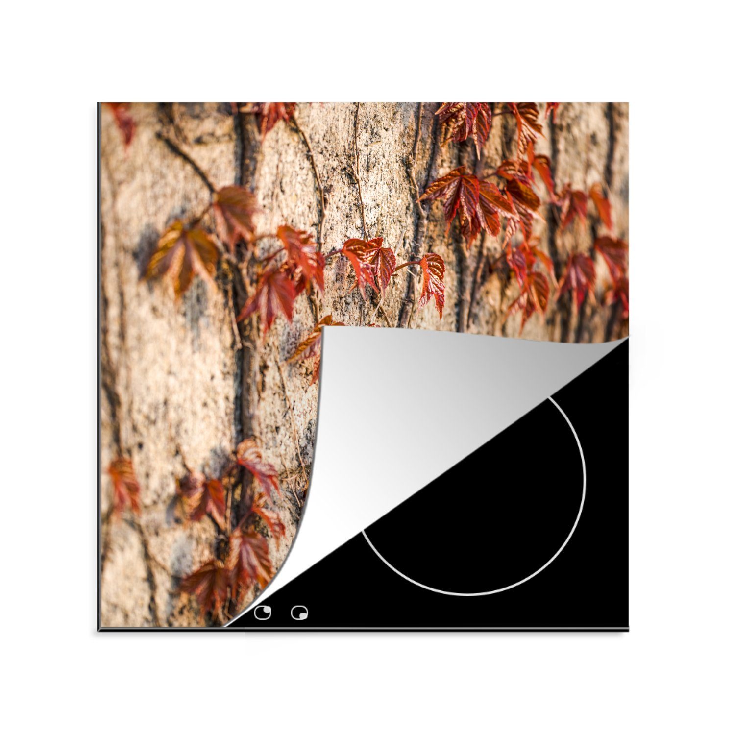 MuchoWow Herdblende-/Abdeckplatte Kletterpflanzen an einer Steinmauer im Herbst, Vinyl, (1 tlg), 78x78 cm, Ceranfeldabdeckung, Arbeitsplatte für küche