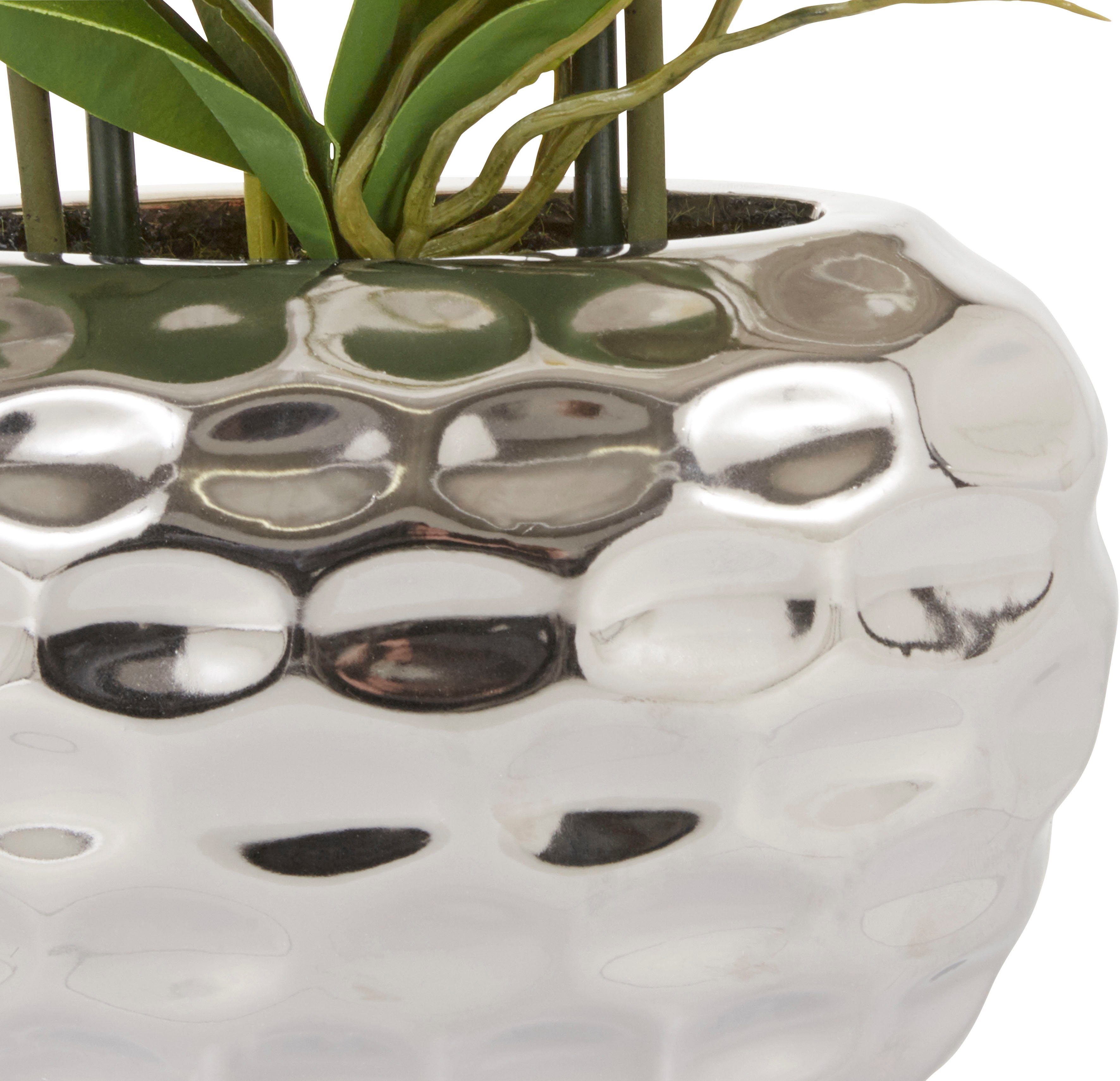 Kunstpflanze Orchidee Orchidee, Leonique, Höhe 55 cm, Kunstorchidee, im Top günstig online kaufen