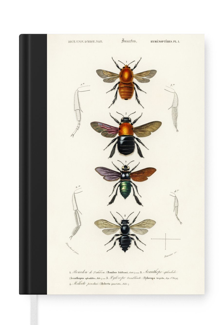 MuchoWow Notizbuch Bienen - Jahrgang - Insekten, Journal, Merkzettel, Tagebuch, Notizheft, A5, 98 Seiten, Haushaltsbuch