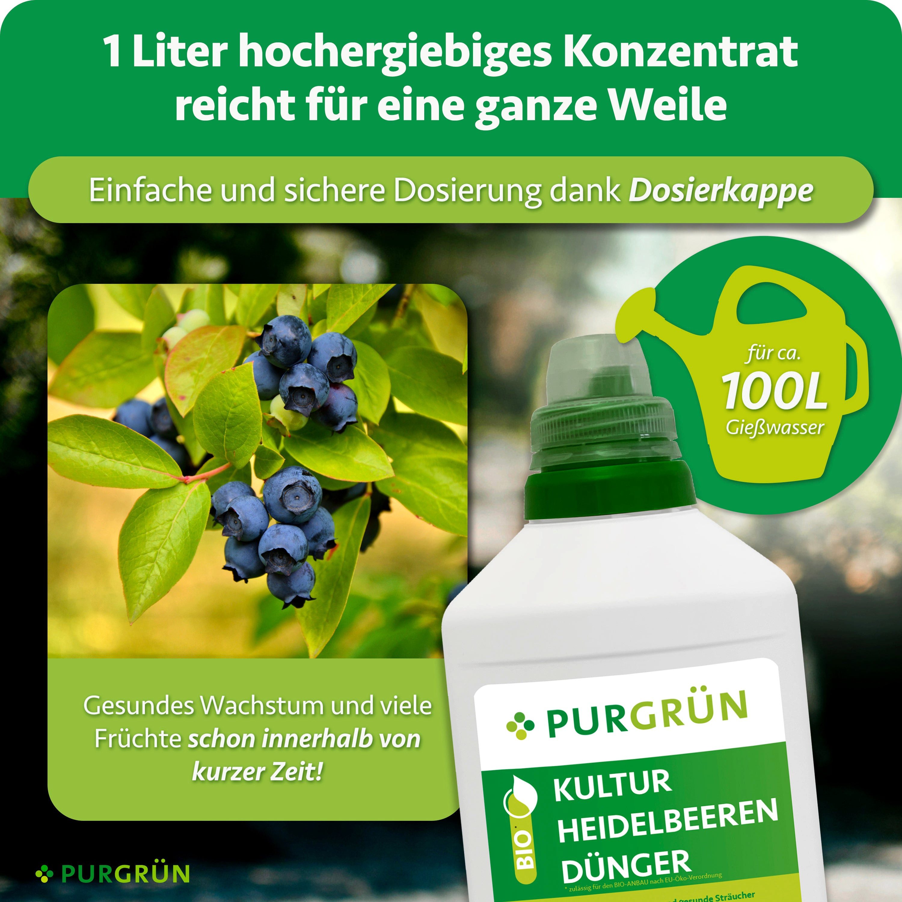 Purgrün Obstdünger Bio Kulturheidelbeeren Dünger, NPK 3+2+6, Bio, Vegan, 1 Liter, Flüssigdünger, 1-St., 1 Liter – Bild 4 von 5