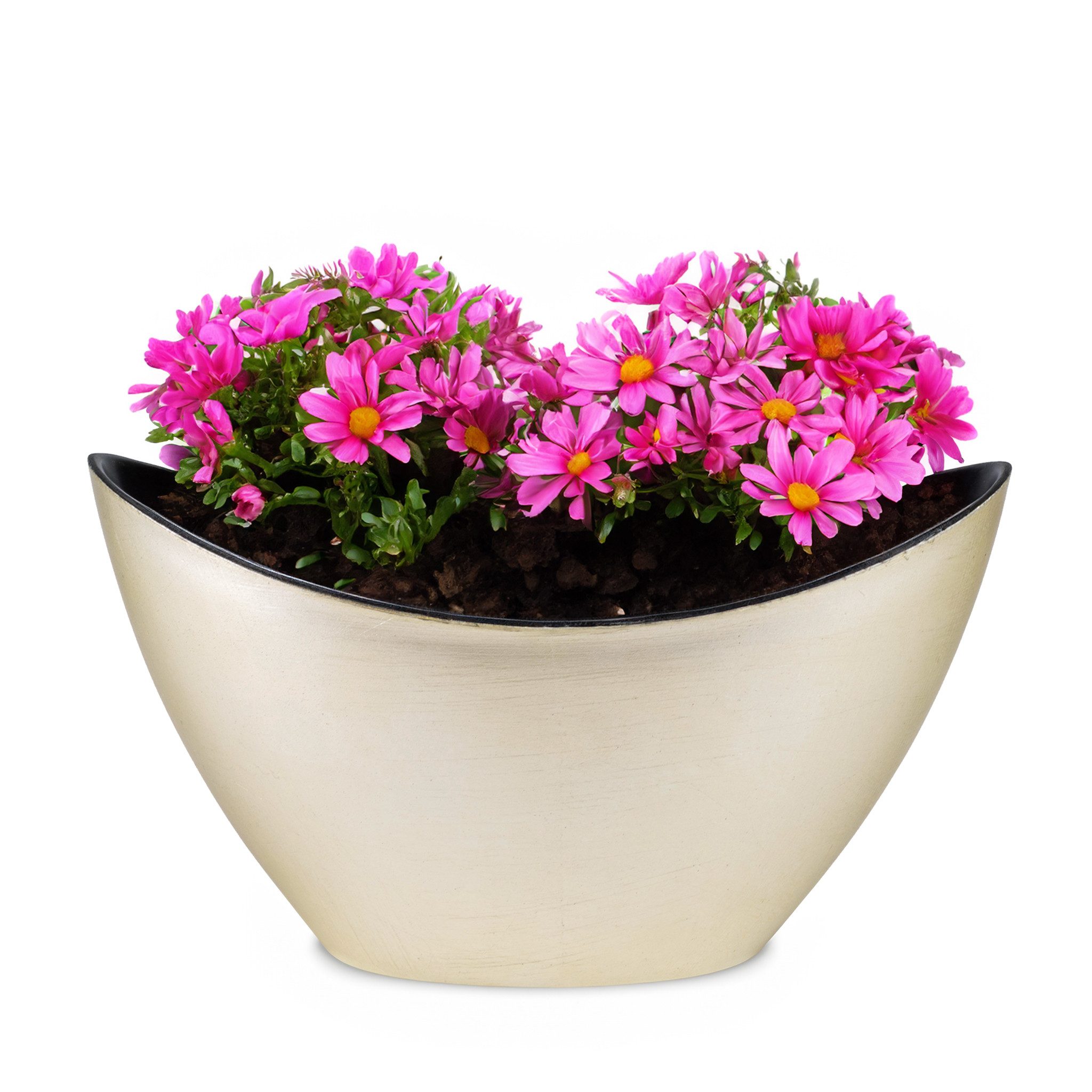 matches21 HOME & HOBBY Blumentopf Hohe günstig online kaufen