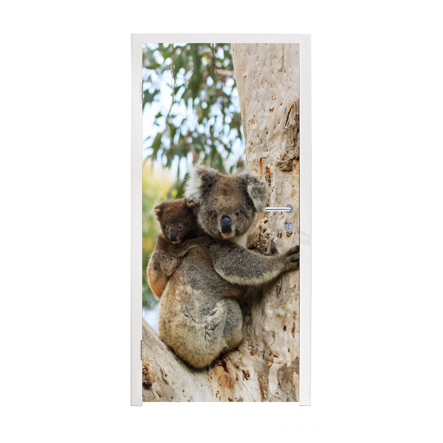 MuchoWow Türtapete Koalas - Kind - Baum - Kinder - Junge - Mädchen, Matt, bedruckt, (1 St), Fototapete für Tür, Türaufkleber, 75x205 cm