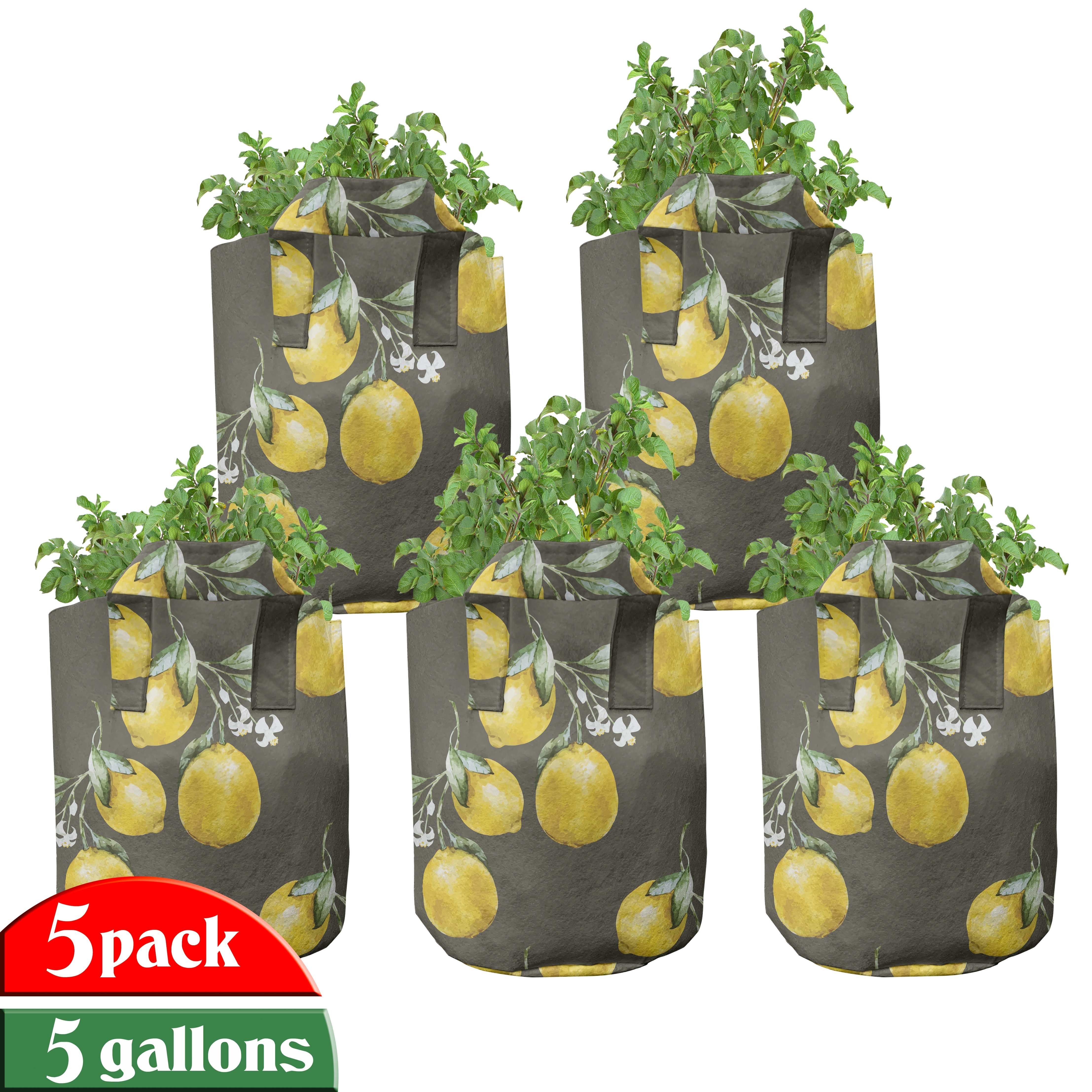 Abakuhaus Pflanzkübel hochleistungsfähig Stofftöpfe mit Griffen für Pflanzen, Natur Lemon Branchen Wachstum