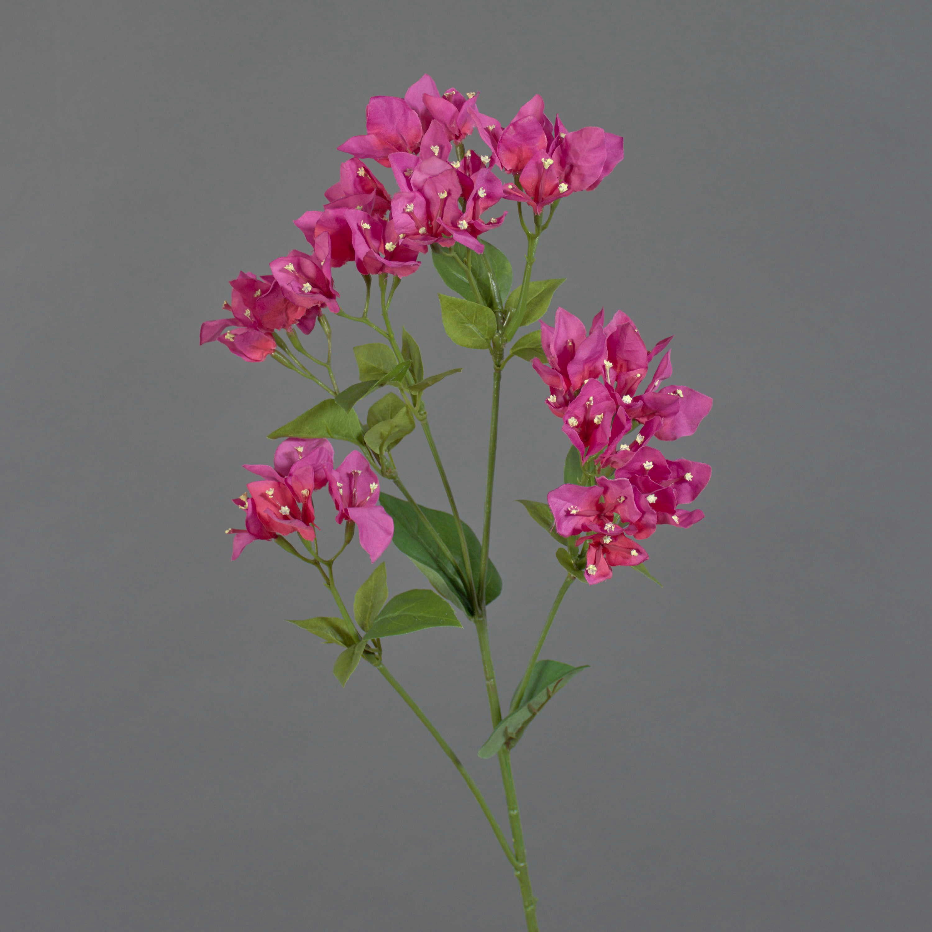 Kunstzweig Deko Zweig Bougainvillea NAJEM mit Blüten, pink, 80cm Bougainvillea, artplants, Höhe 80.0 cm
