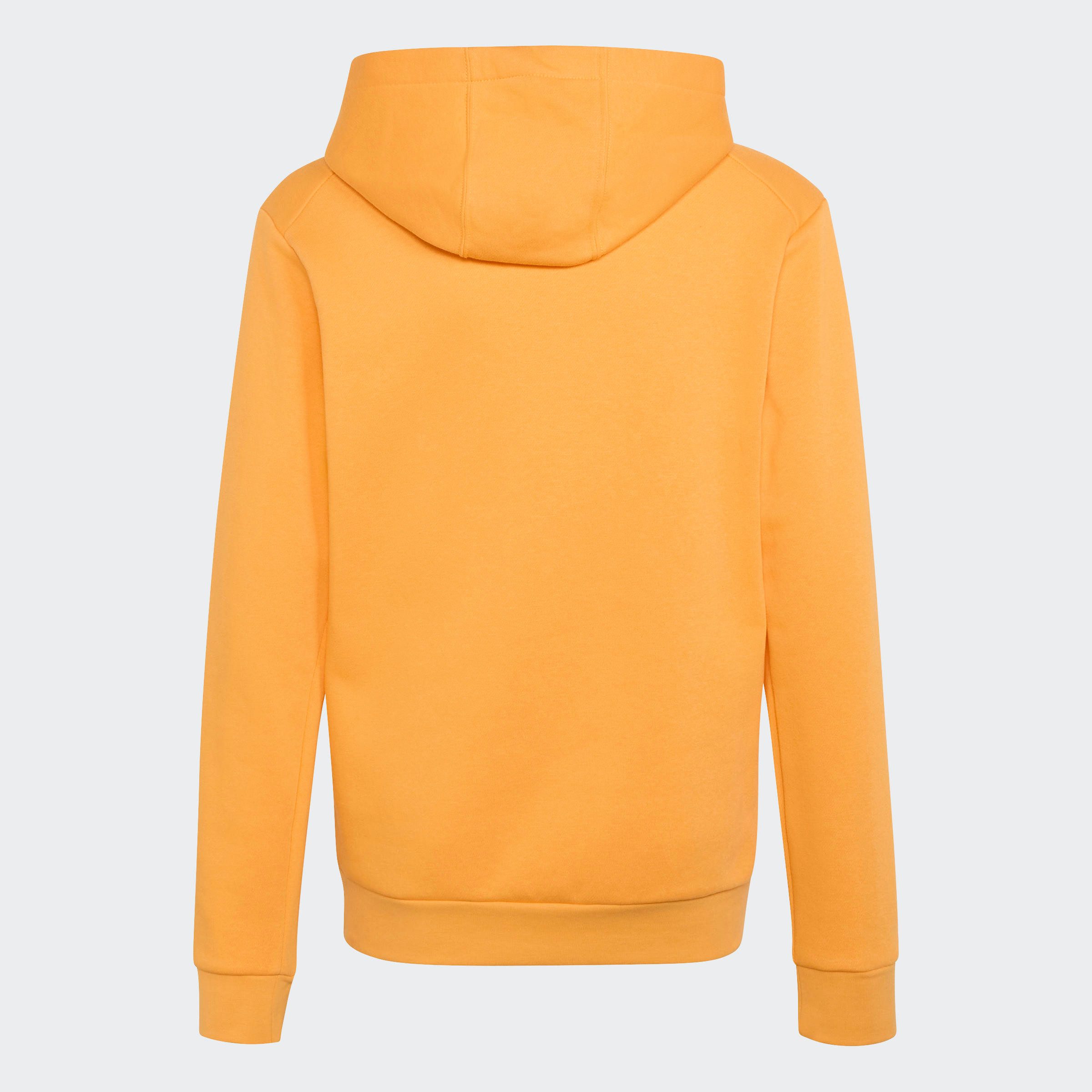 adidas TERREX Kapuzensweatshirt K MT LOGO HD