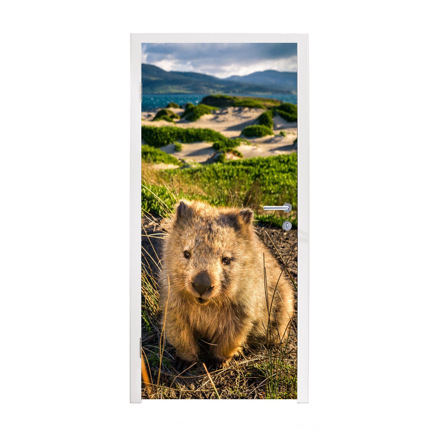 MuchoWow Türtapete Ein Wombat in einer grünen Umgebung, Matt, bedruckt, (1 St), Fototapete für Tür, Türaufkleber, 75x205 cm