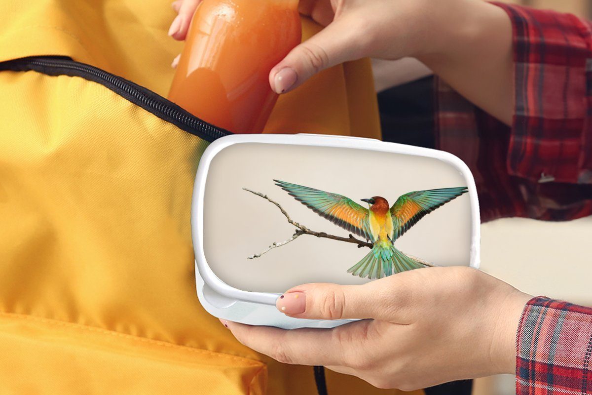 Grün, für Kunststoff, Mädchen weiß (2-tlg), - Erwachsene, Jungs Vogel Brotbox Zweig Lunchbox Brotdose, MuchoWow für Kinder - und und