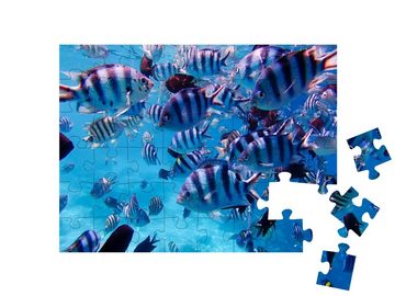puzzleYOU Puzzle Gruppe von bunten tropischen Fischen unter Wasser, 48 Puzzleteile, puzzleYOU-Kollektionen Unterwasser