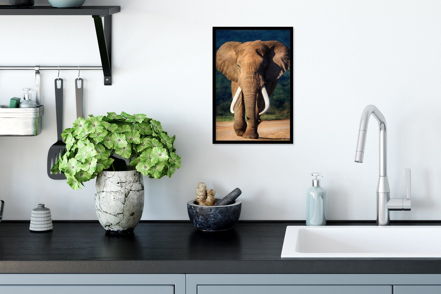 MuchoWow Poster Elefant - Zähne Bilderrahmen Bilder, Gerahmtes - Schwarzem Poster, Wanddeko, Wandposter, (1 Natur, St)