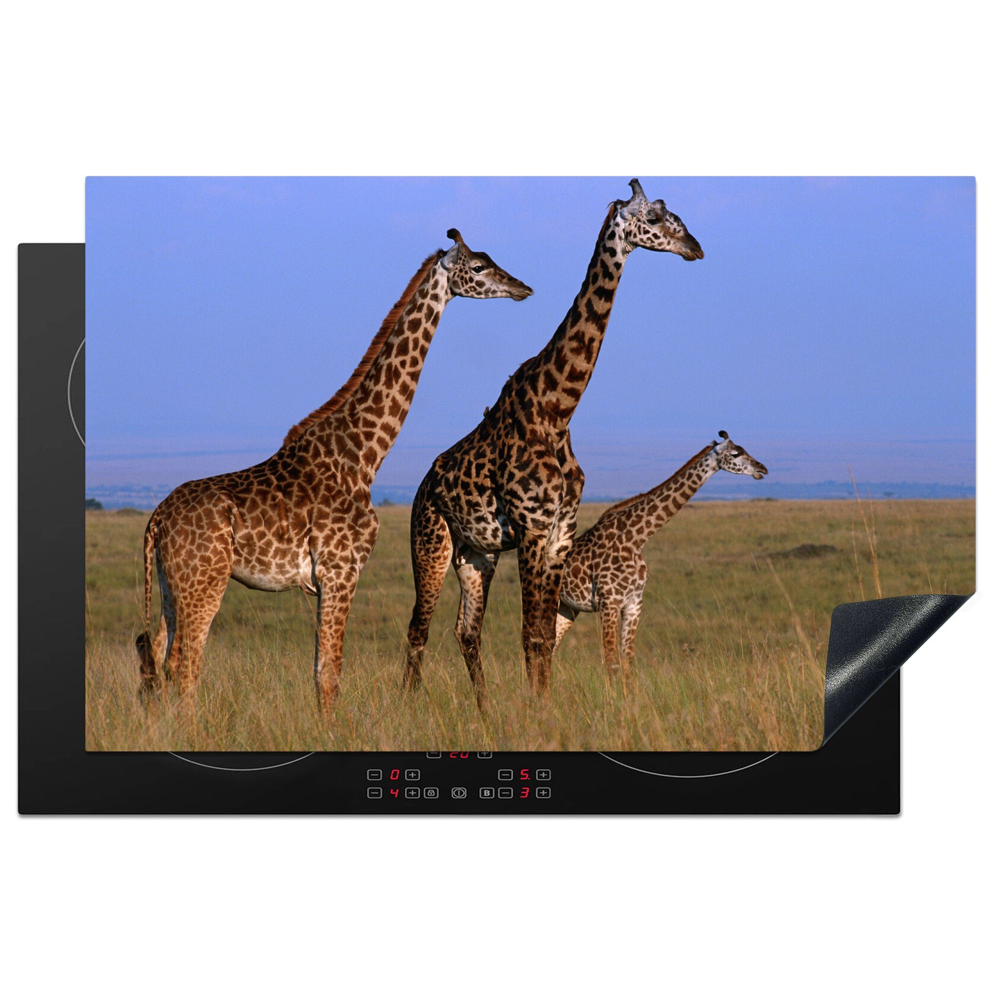 MuchoWow Herdblende-/Abdeckplatte Drei Giraffen in Kenia, Vinyl, (1 tlg), 81x52 cm, Induktionskochfeld Schutz für die küche, Ceranfeldabdeckung