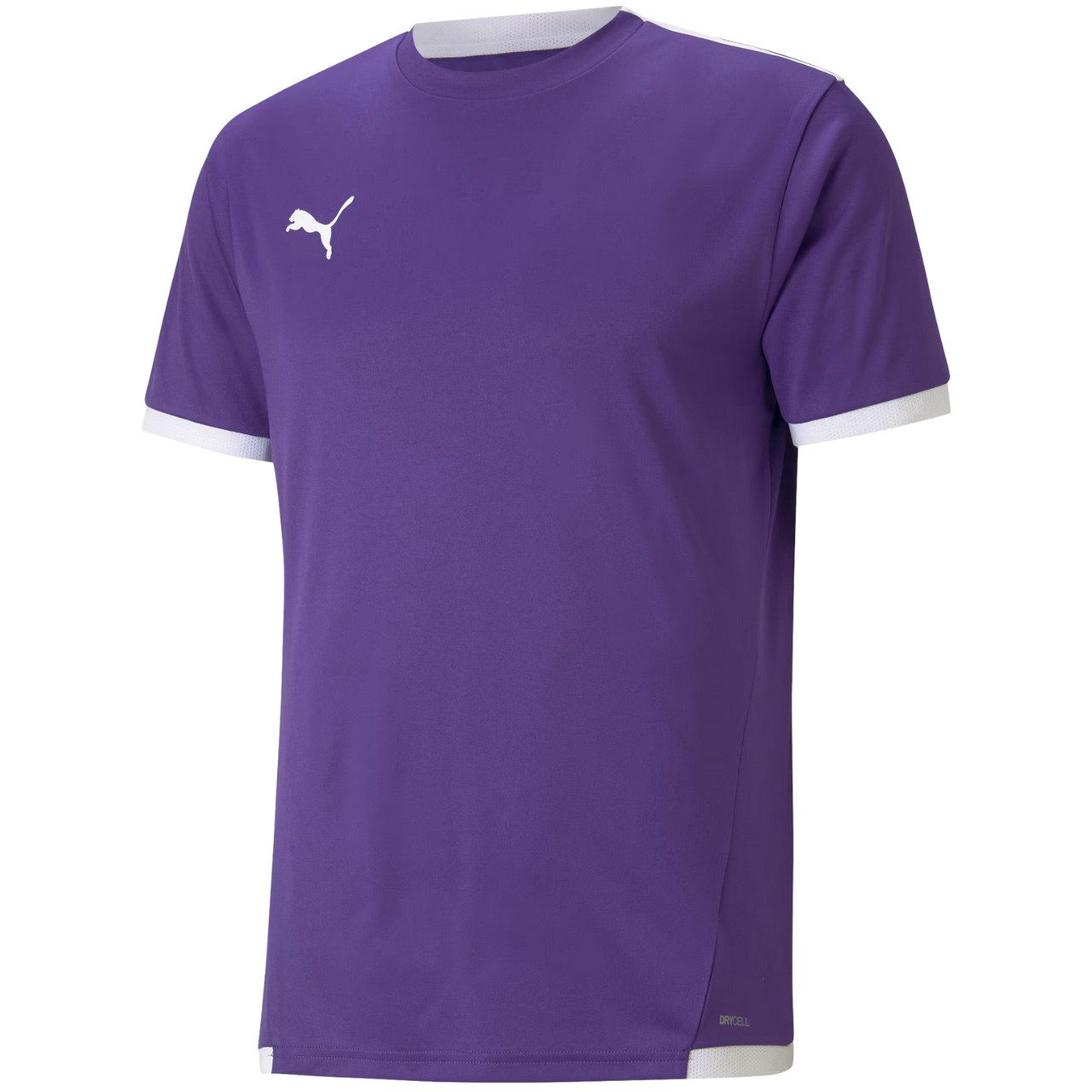 PUMA Funktionsshirt Puma teamLIGA