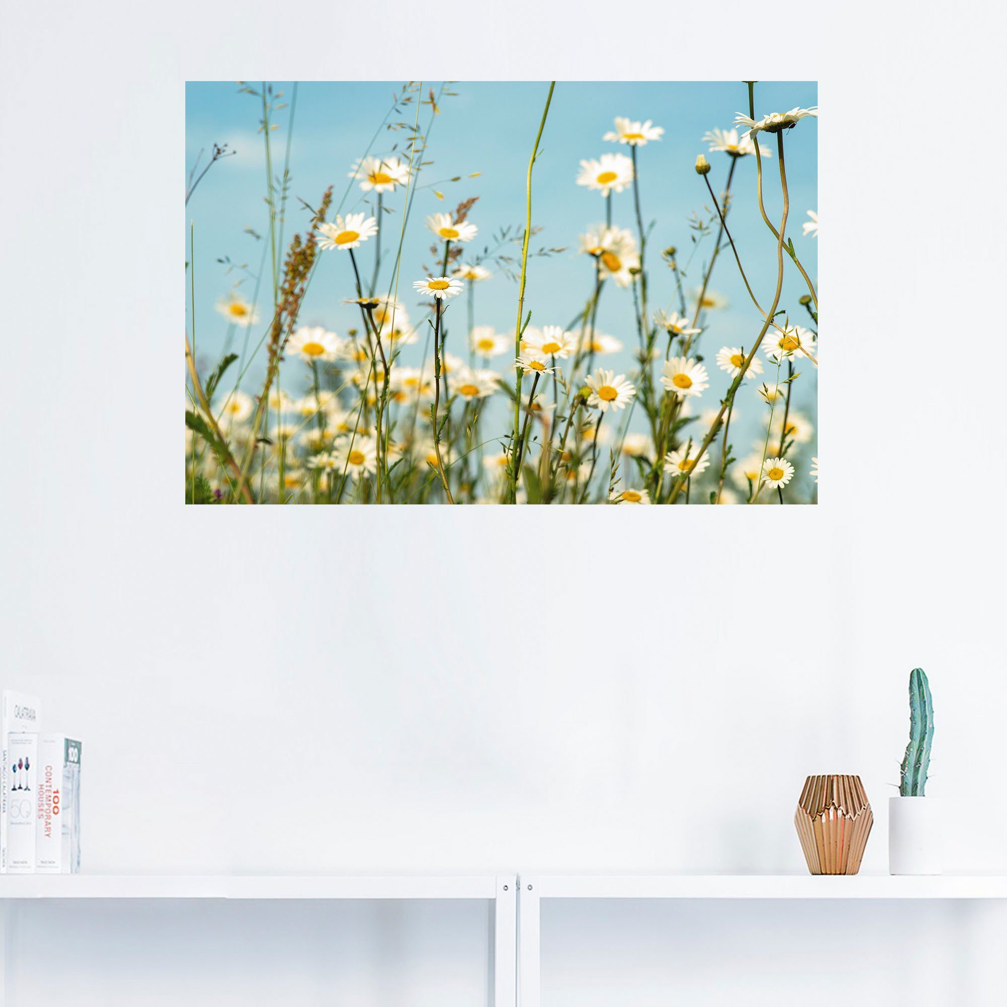 (1 St), Poster Wandbild Alubild, Margeriten Wandaufkleber Leinwandbild, versch. Artland vor in Himmel, Blumenbilder Sommer oder als Größen