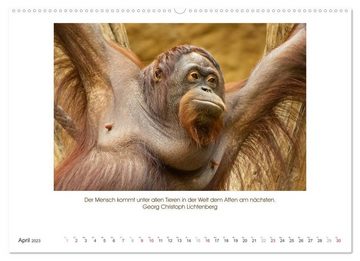 CALVENDO Wandkalender Der Tierkalender mit Zitaten, Weisheiten und Sprüchen (Premium, hochwertiger DIN A2 Wandkalender 2023, Kunstdruck in Hochglanz)