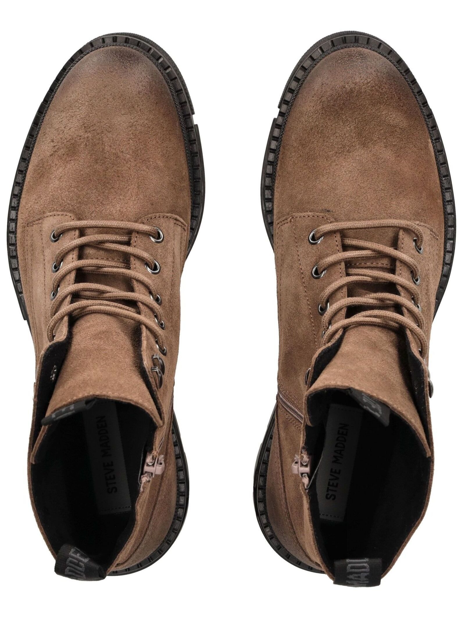 STEVE MADDEN STEVE MADDEN Stiefelette Veloursleder Schnürstiefelette