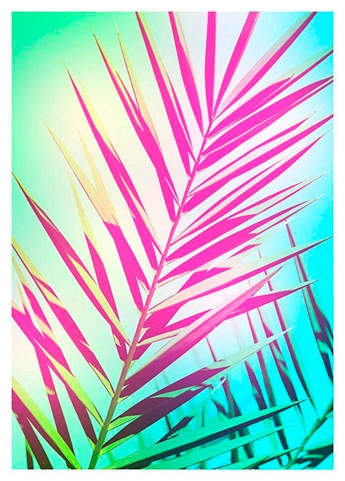 Komar Bild Shine, Blätter, Pflanzen (1 St), Wandbild zur Dekoration - ohne Rahmen