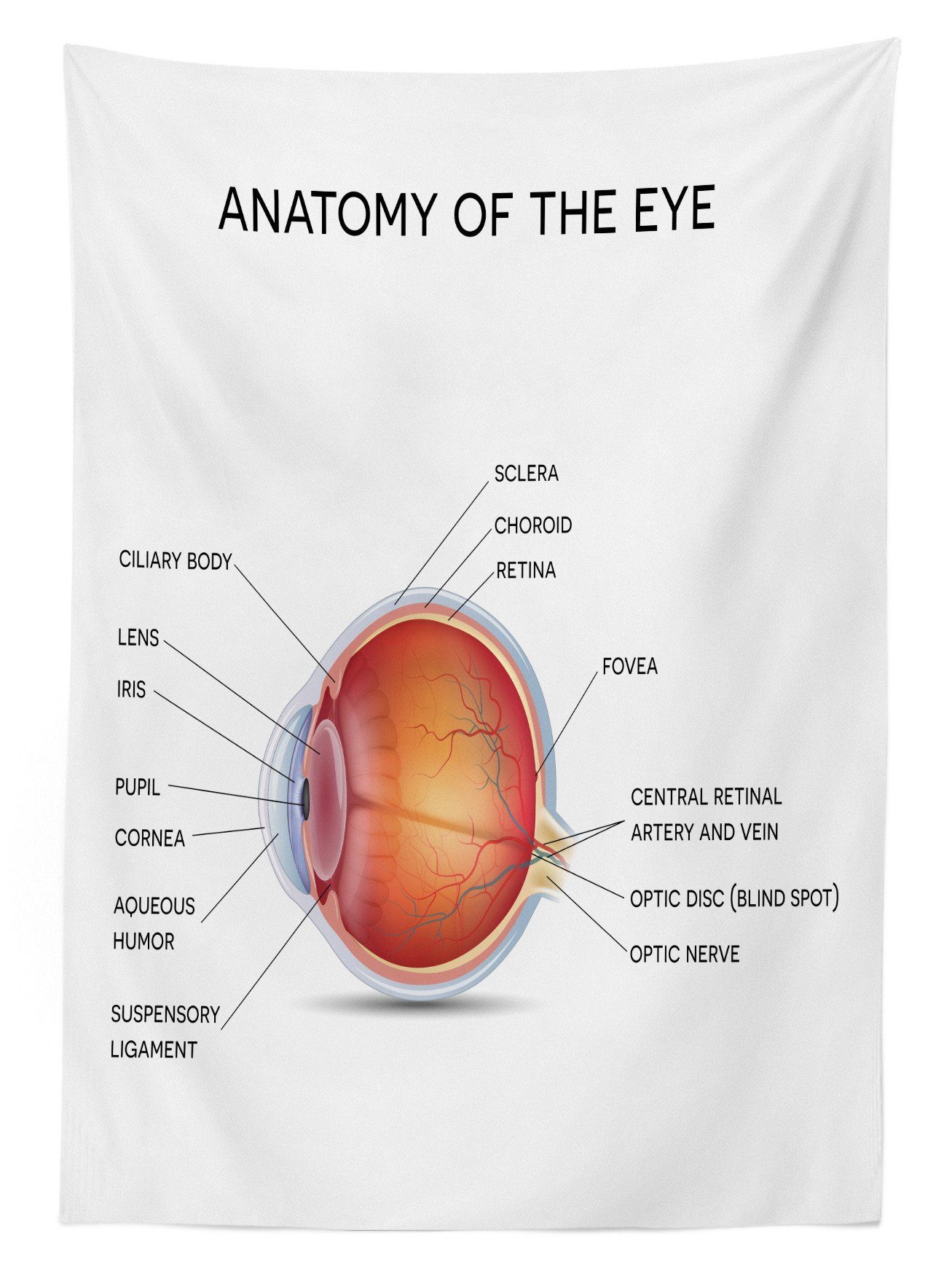 Bereich Augen Augendiagramm Klare den Farbfest geeignet Farben, Außen Abakuhaus Wording Anatomie eines Tischdecke Waschbar Für