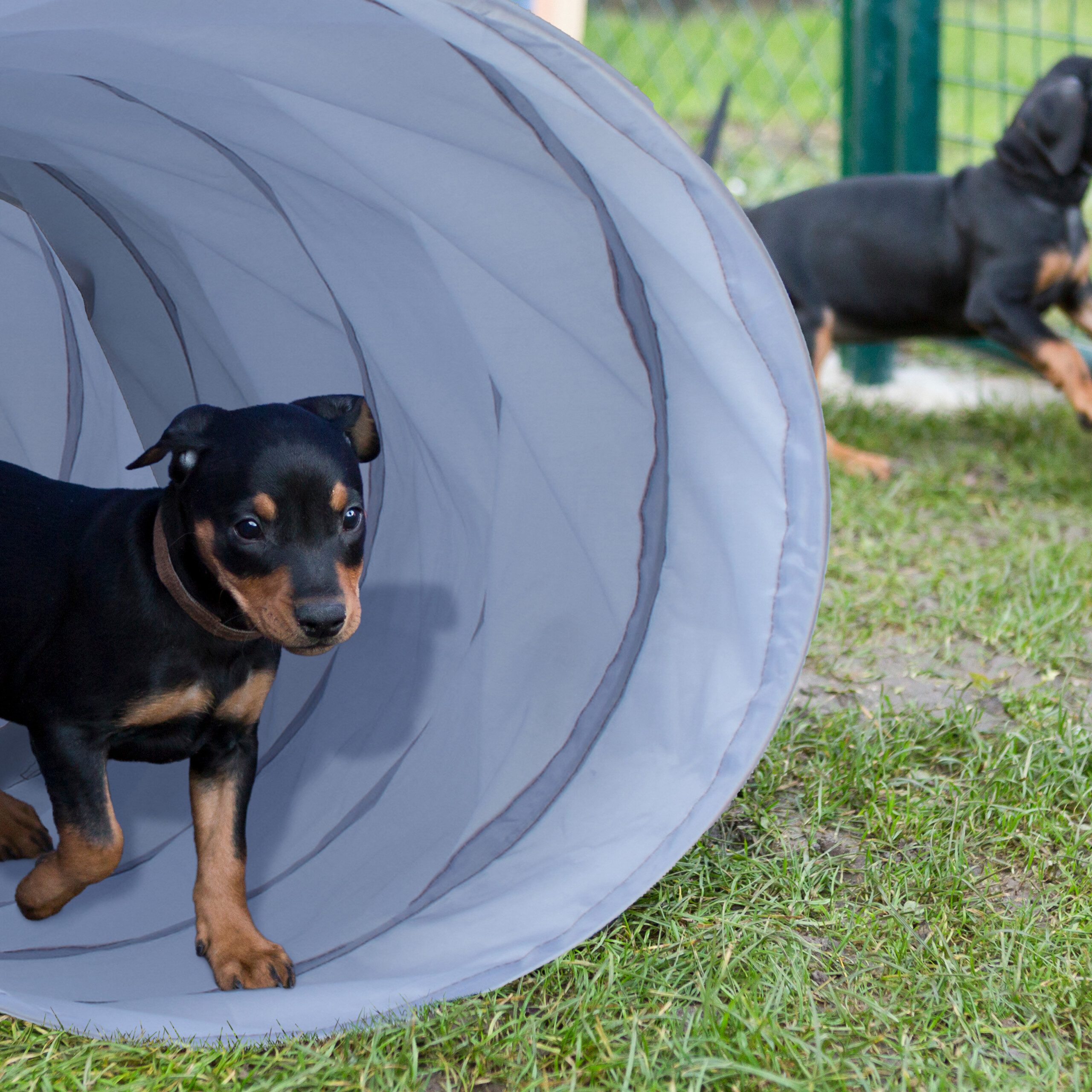 relaxdays Agility-Tunnel Hundetunnel Agility 2m, Polyester, (1-tlg)