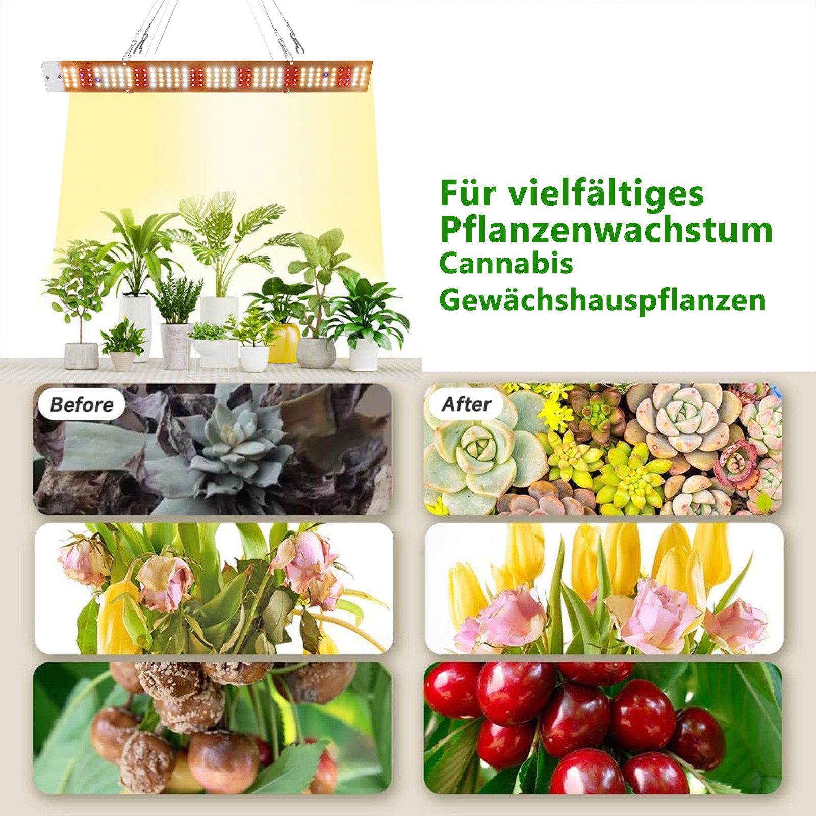 Laybasic Pflanzenlampe Grow Lampe Cannabis,40W/80W/120W/160W UV günstig online kaufen