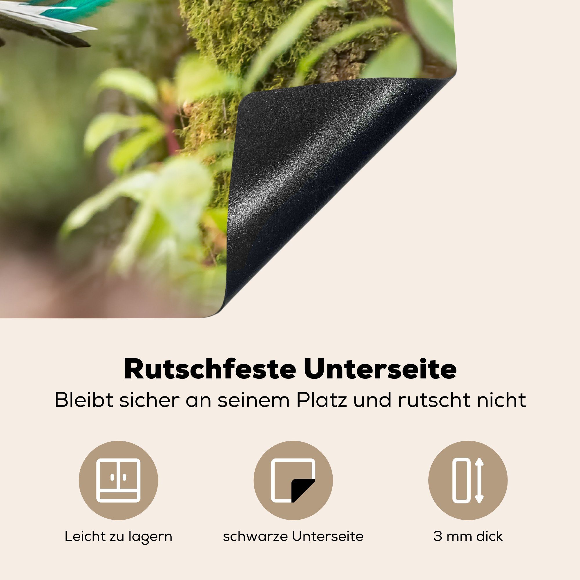 MuchoWow Herdblende-/Abdeckplatte Männlicher bunter Quetzal Flug, für Induktionskochfeld 81x52 die Vinyl, cm, im Schutz (1 küche, Ceranfeldabdeckung tlg)