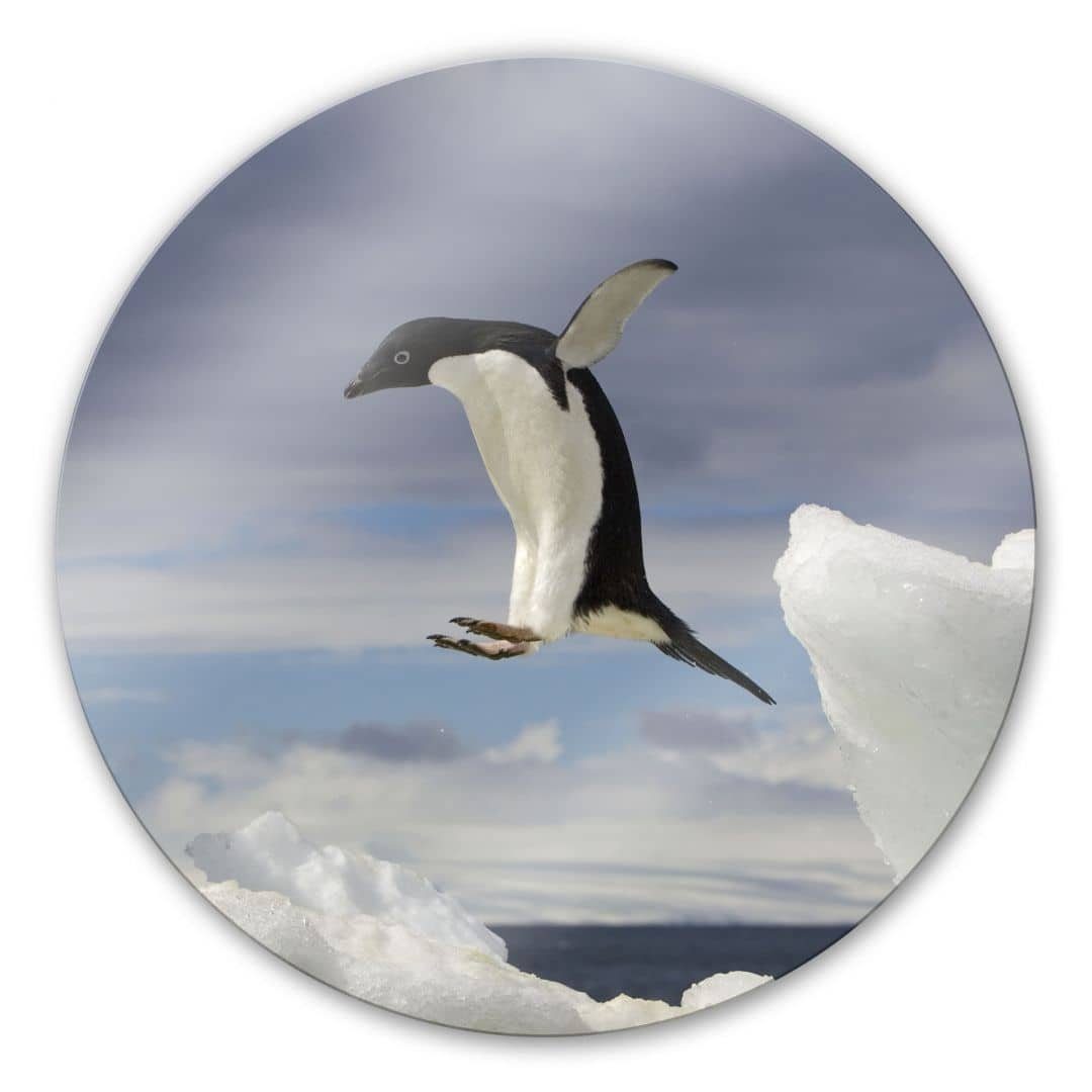 K&L Wall Art Glasbild Glas Wandbild Rund Glasbild Poster fliegender Pinguin Badezimmer, Wandschutz Deko Bilder