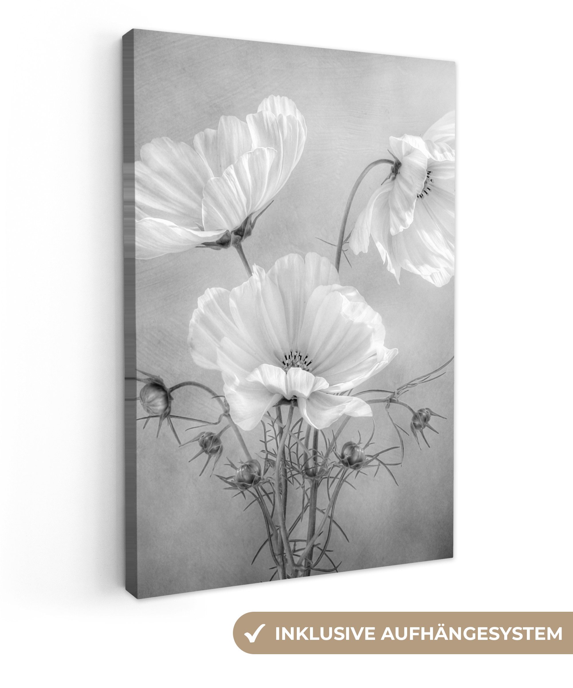 OneMillionCanvasses® Leinwandbild Stilleben - Blumen - Schwarz und weiß - M günstig online kaufen