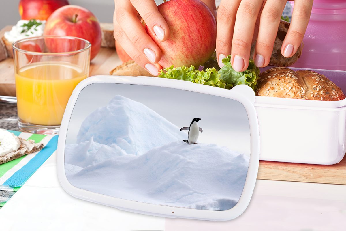 (2-tlg), Lunchbox MuchoWow Kinder - Brotbox - Brotdose, Mädchen und Jungs Eis Winter, für Kunststoff, weiß für Pinguin Erwachsene, und