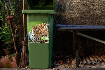MuchoWow Wandsticker Panther - Jagd - Muster (1 St), Mülleimer-aufkleber, Mülltonne, Sticker, Container, Abfalbehälter