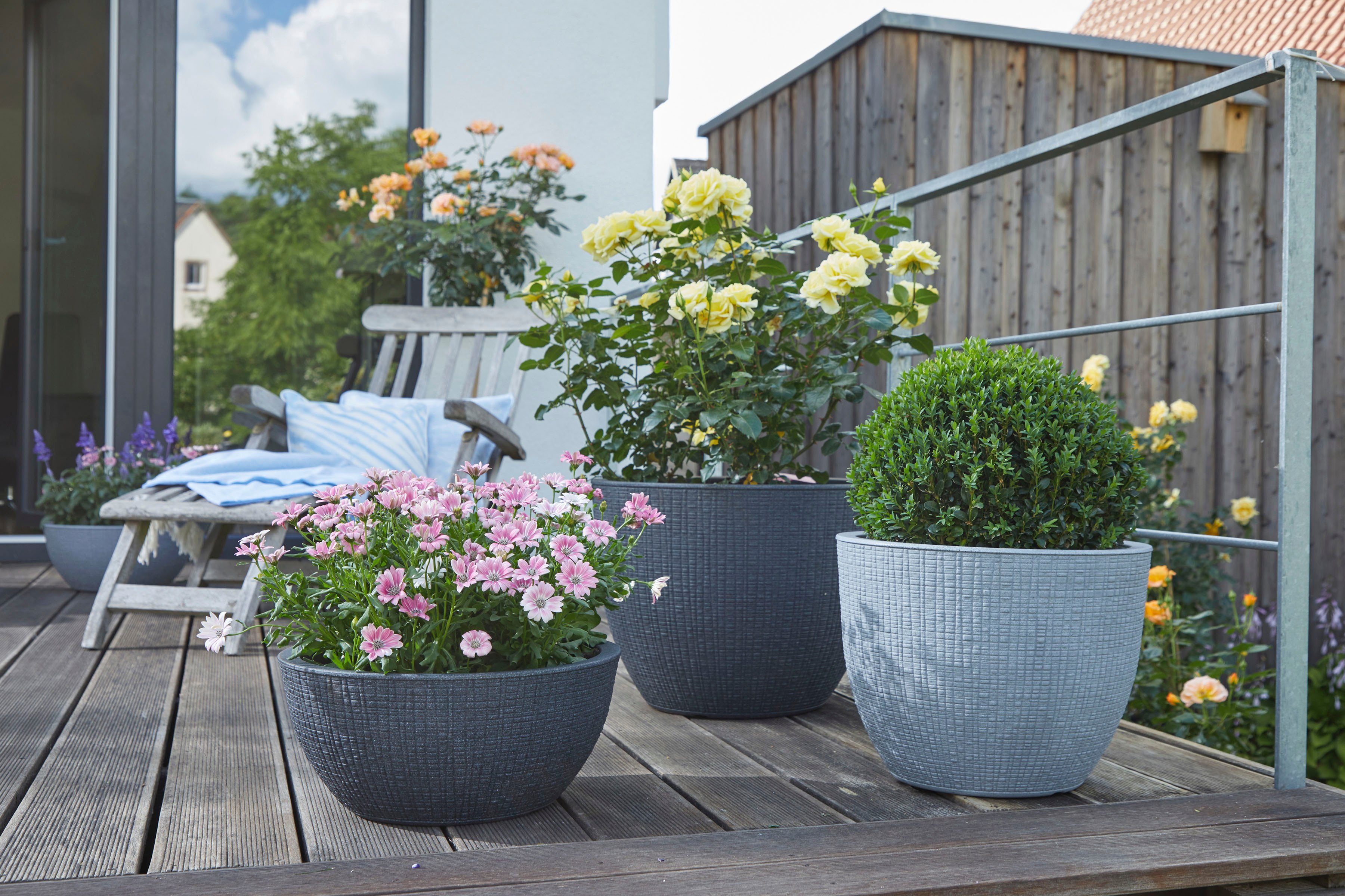 Scheurich Blumentopf 30/295 BARCEO günstig online kaufen