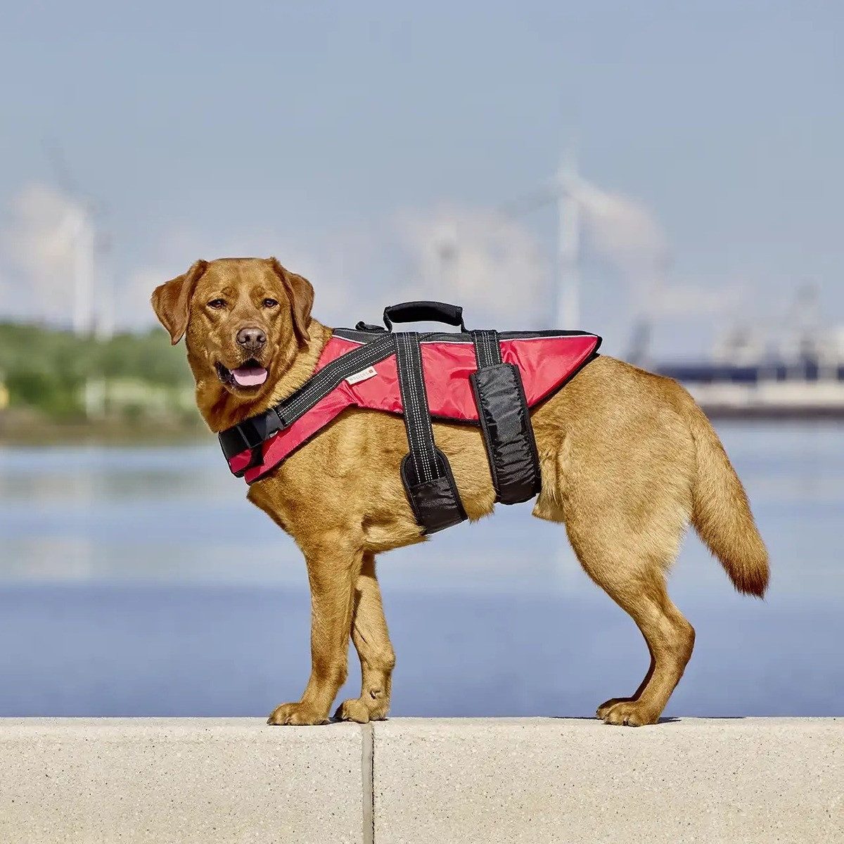 Wolters Schwimmweste watchout Schwimmweste rot