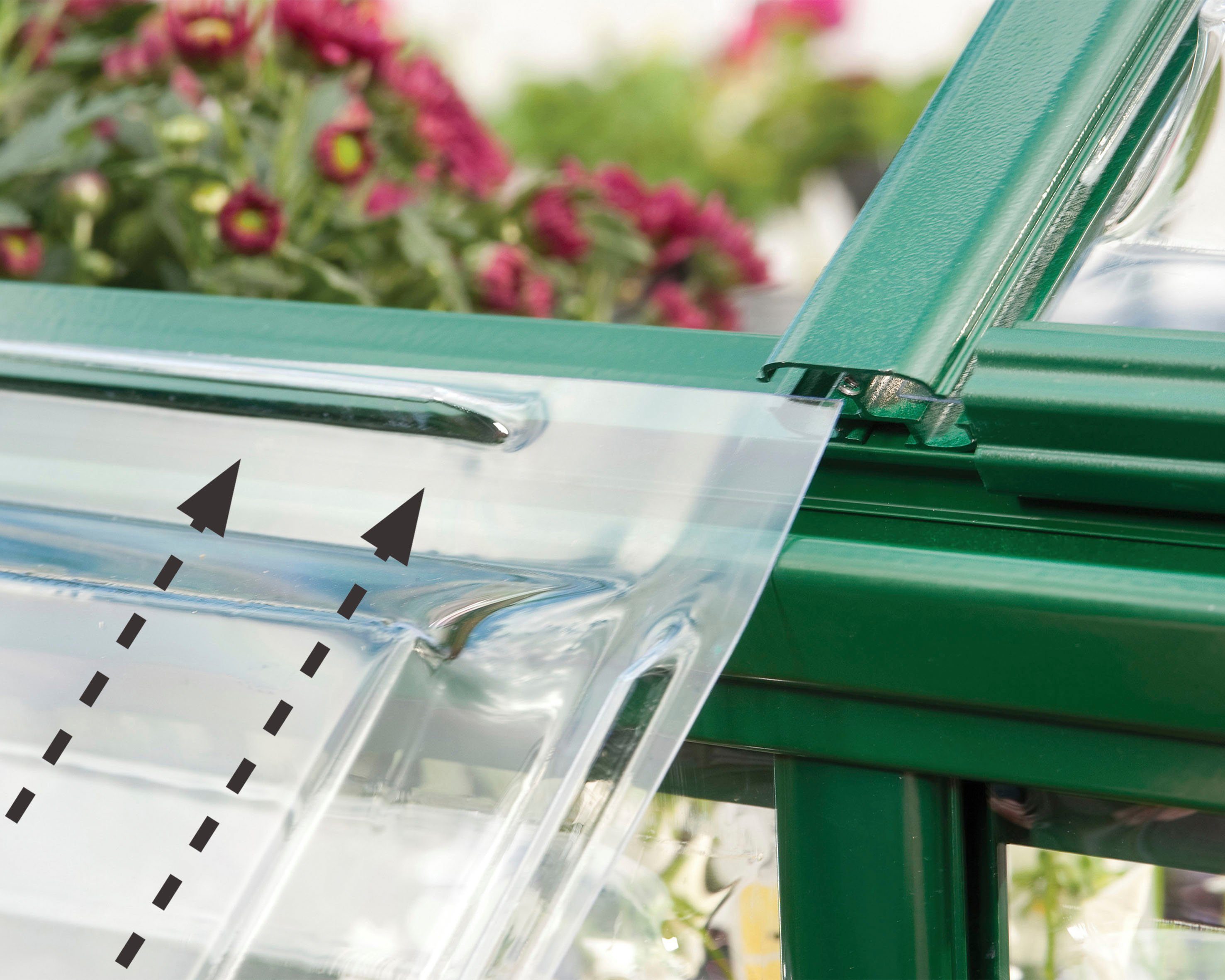 Palram - Canopia Gewächshaus Harmony, B...