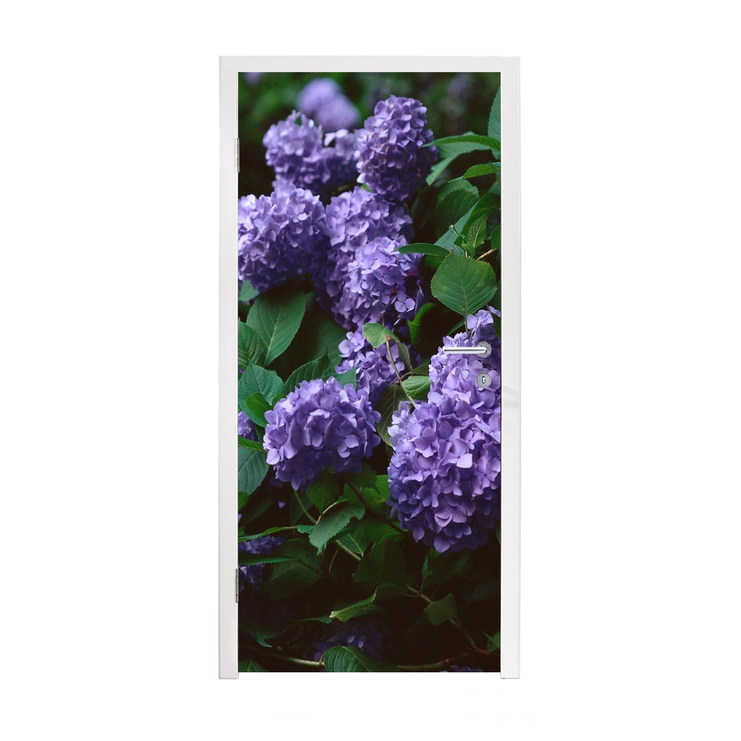 MuchoWow Türtapete Dunkelheit um Hortensien in einem Garten, Matt, bedruckt, (1 St), Fototapete für Tür, Türaufkleber, 75x205 cm