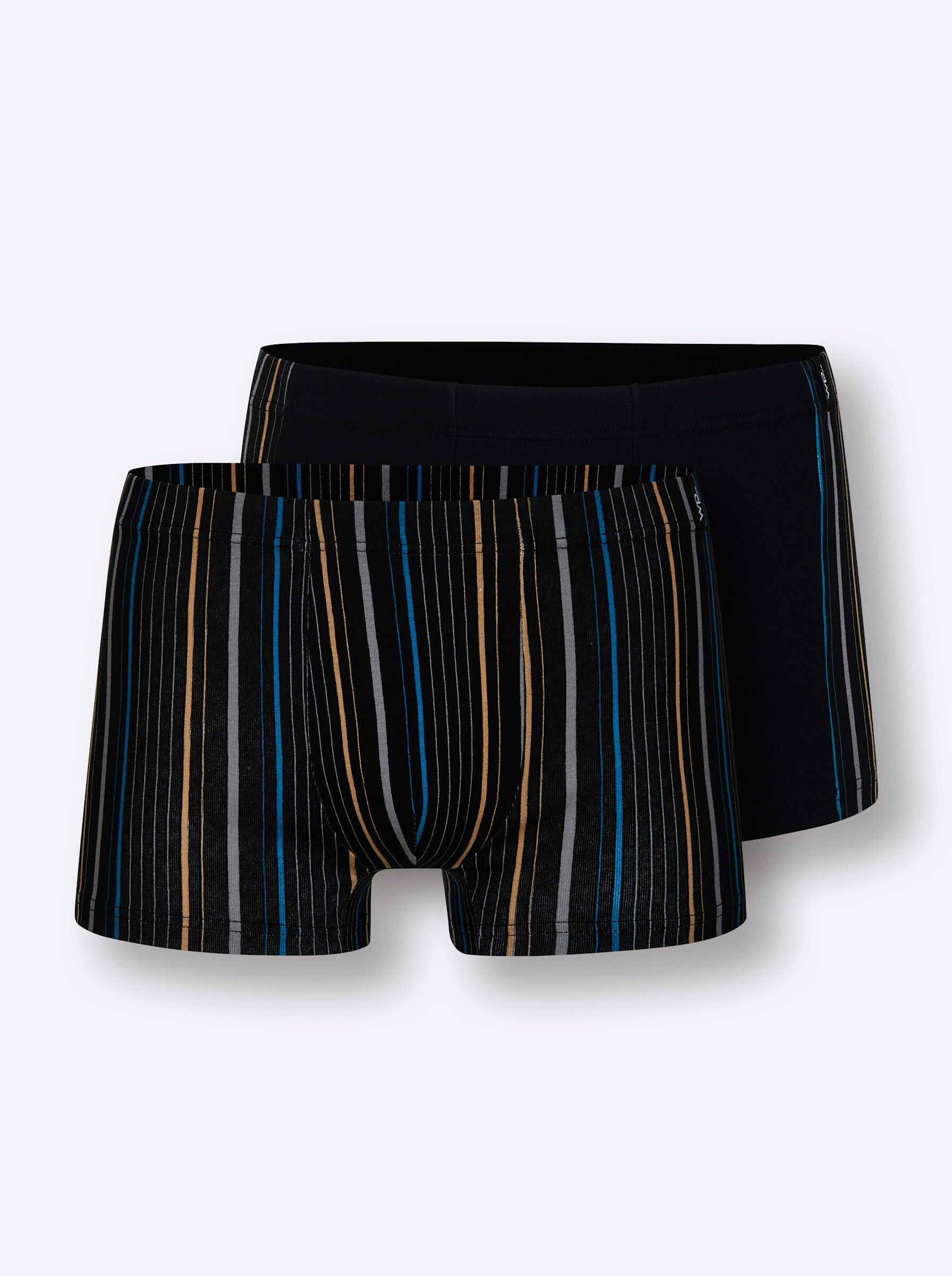 Witt Boxer Pants (2-St)