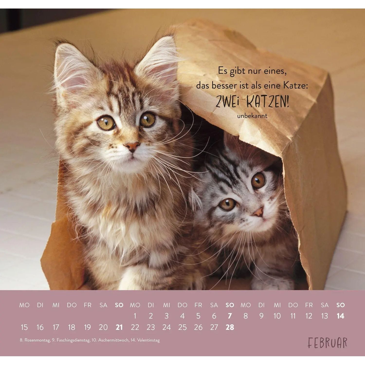 groh Verlag Wandkalender Wandkalender 2027: Für Katzenfreunde