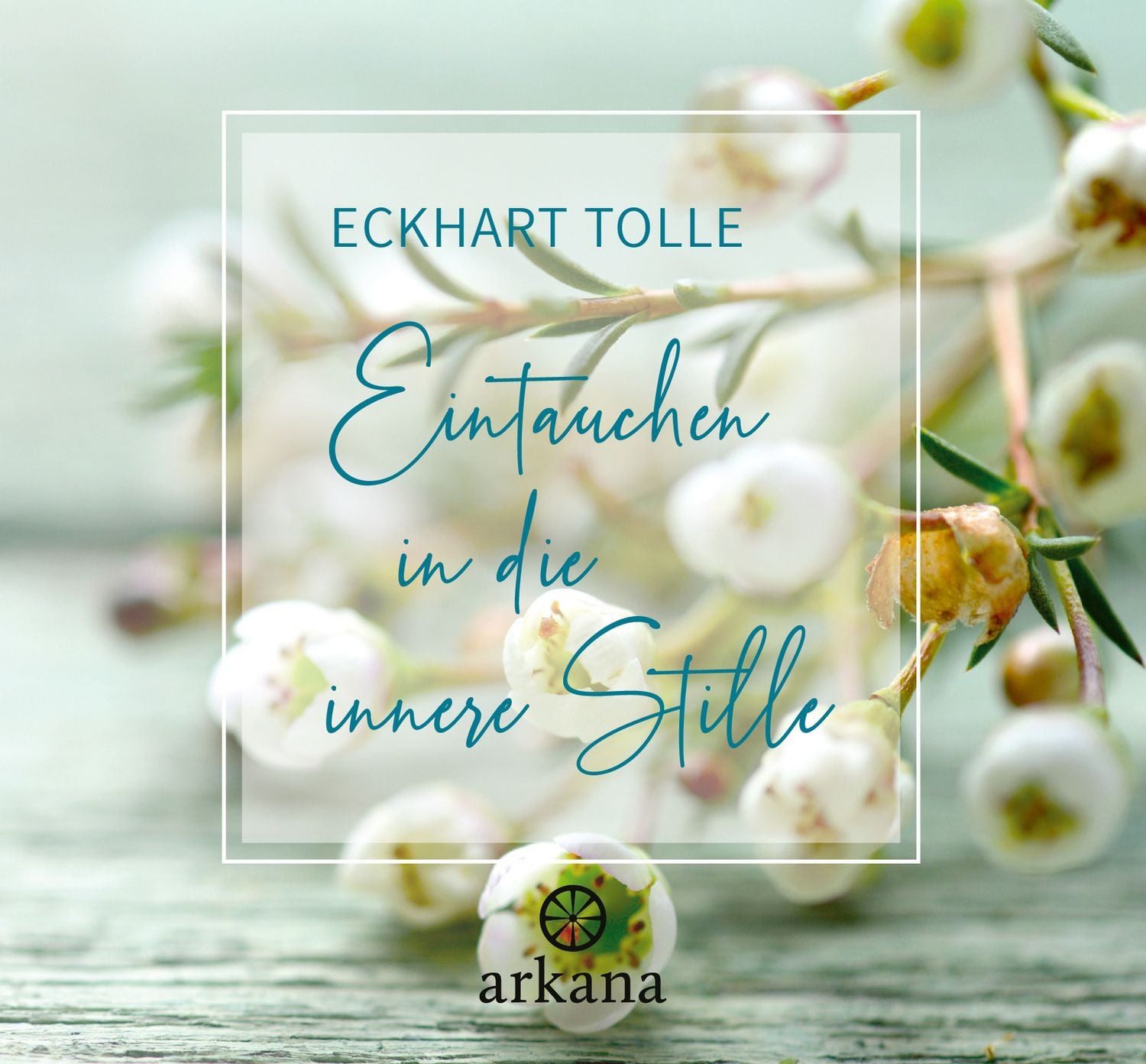 Eintauchen in die innere Stille / Eckhart Tolle