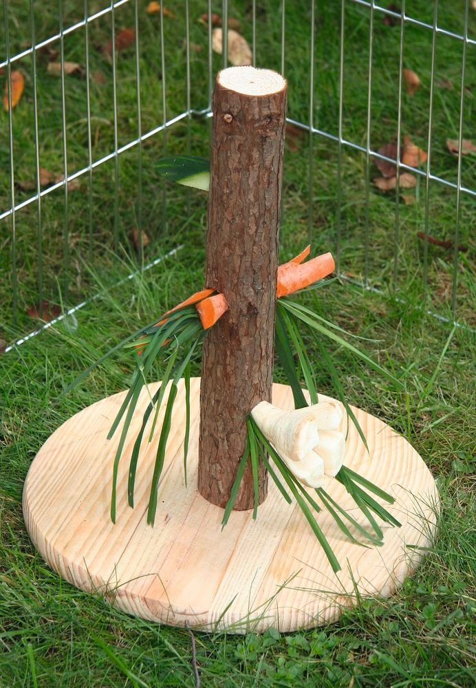 Futterbaum Kerbl Futterbaum Nature fÙr Nagetiere Kaninchen Spielzeug fÙr Nager