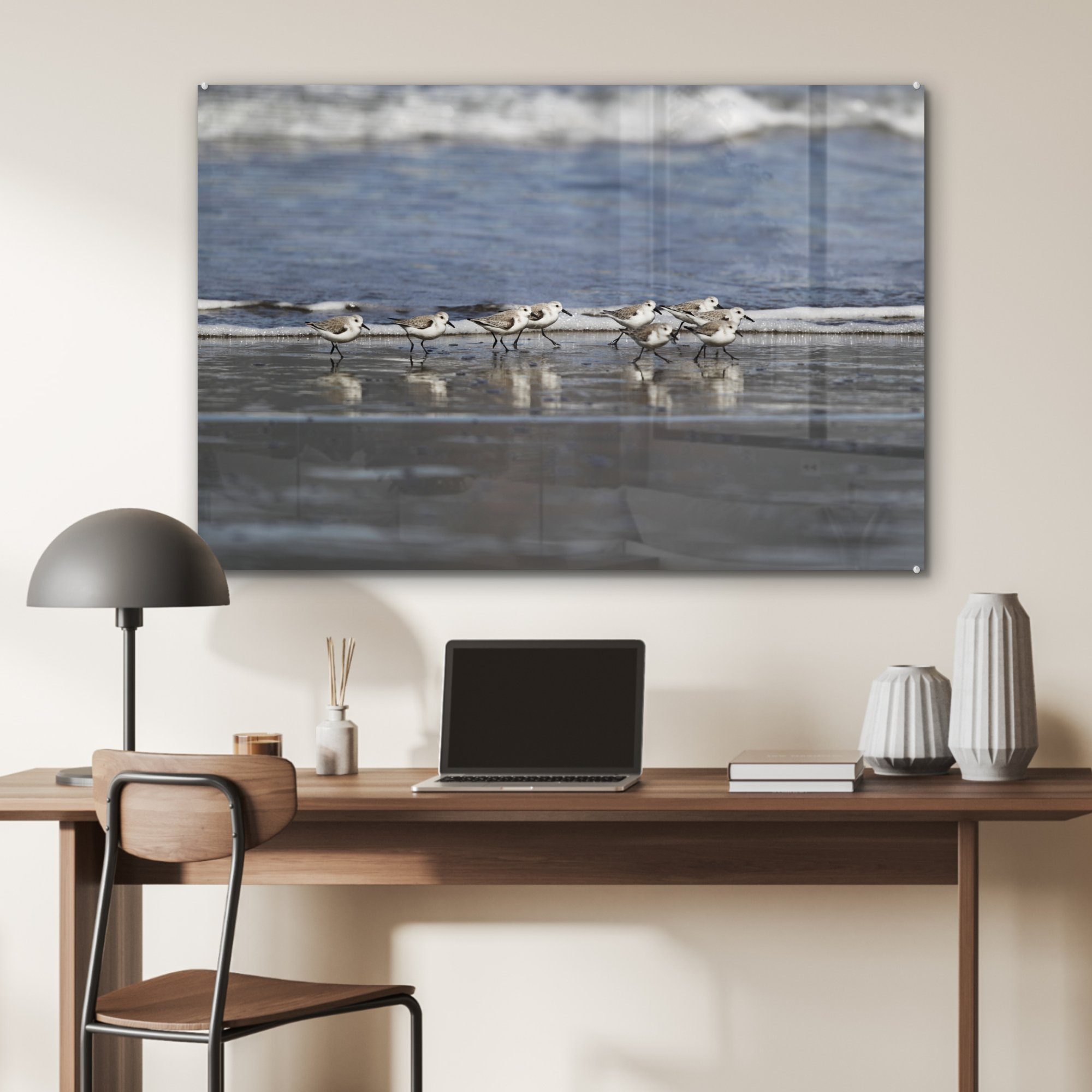 Acrylglasbild Regenpfeifer Acrylglasbilder & (1 St), Wohnzimmer Schlafzimmer Strand, Eine am Gruppe Kentischer MuchoWow