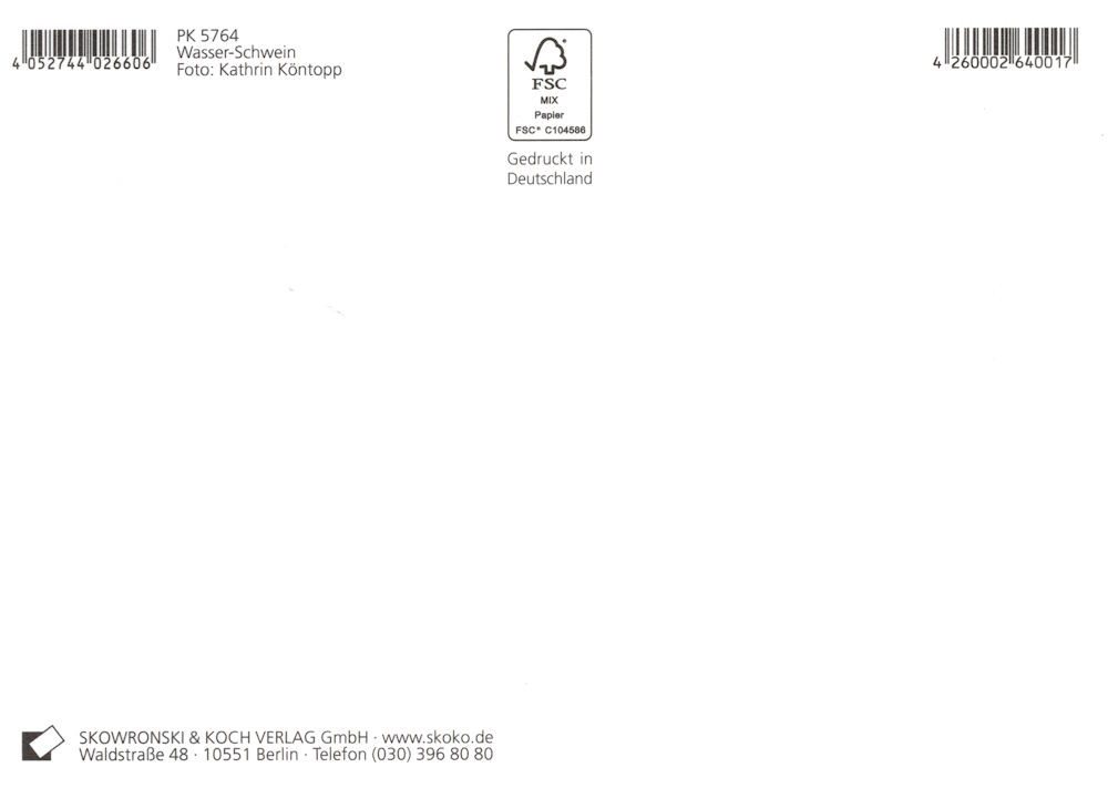 Thumbnail - Postkarte "Wasser-Schwein"