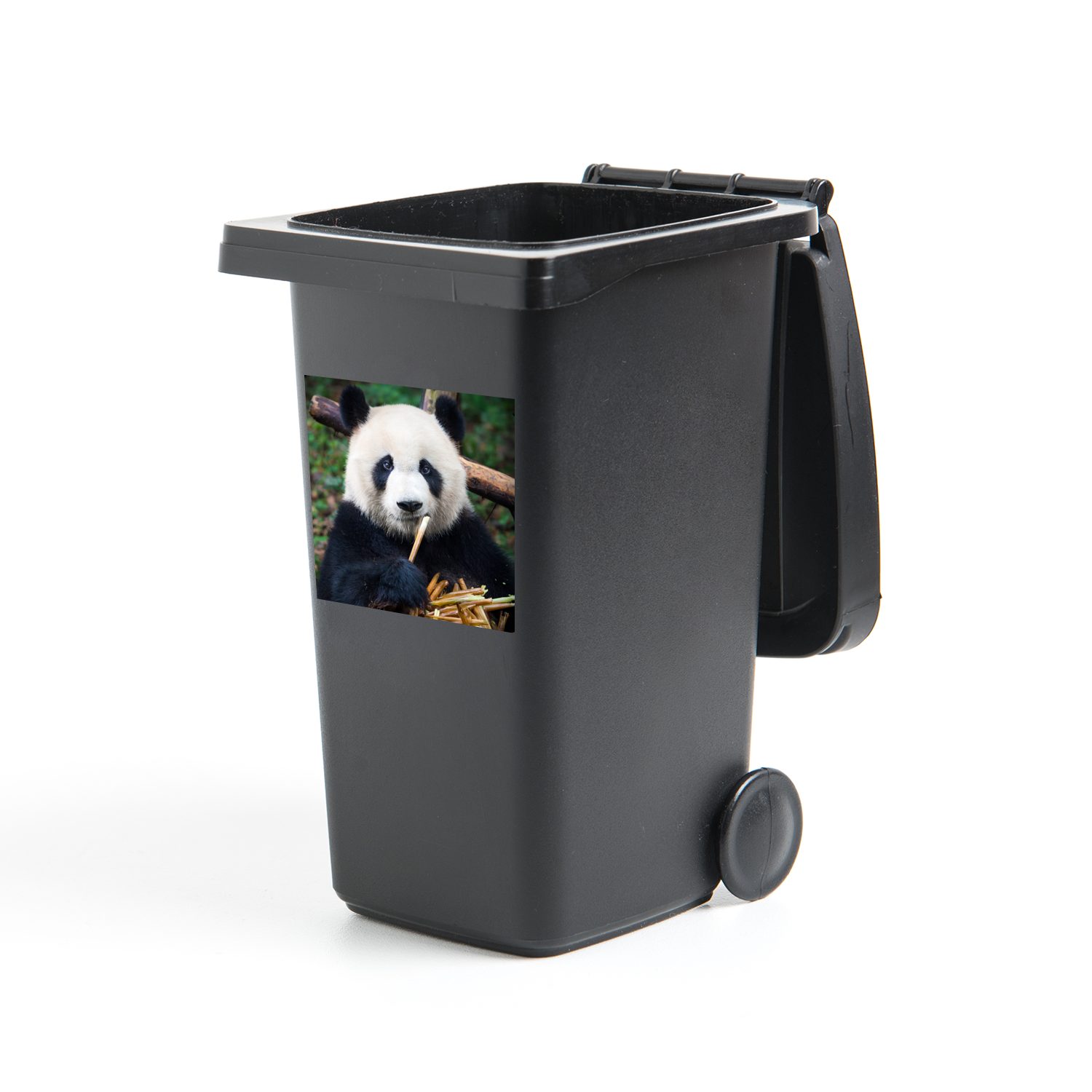 Wandsticker Sticker, - Abfalbehälter Mülltonne, Panda St), Natur - MuchoWow Bambus Mülleimer-aufkleber, (1 Container,