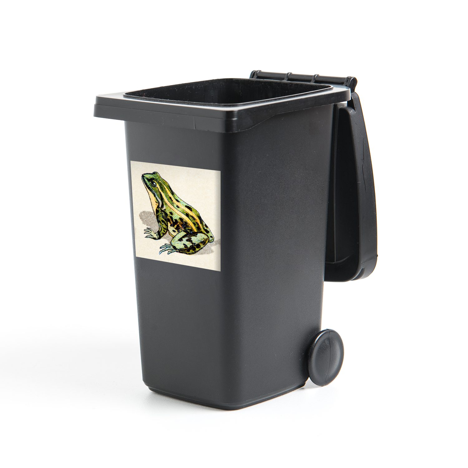 MuchoWow Wandsticker Frosch - Tiere - Weiß (1 St), Mülleimer-aufkleber, Mülltonne, Sticker, Container, Abfalbehälter