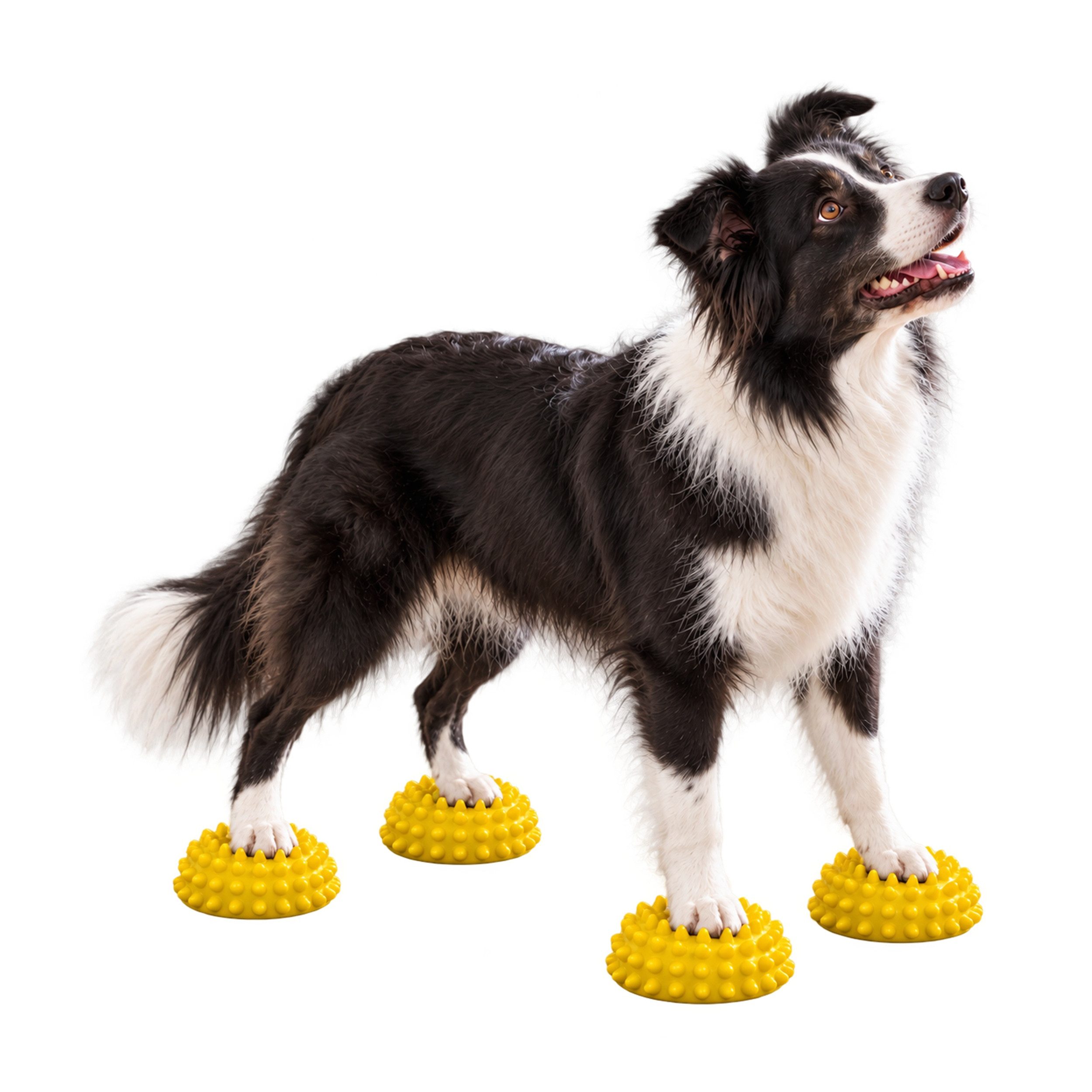 Superhund Balancetrainer 4er Balance-Igel für Hunde – 4x Gelb – ohne Pumpe