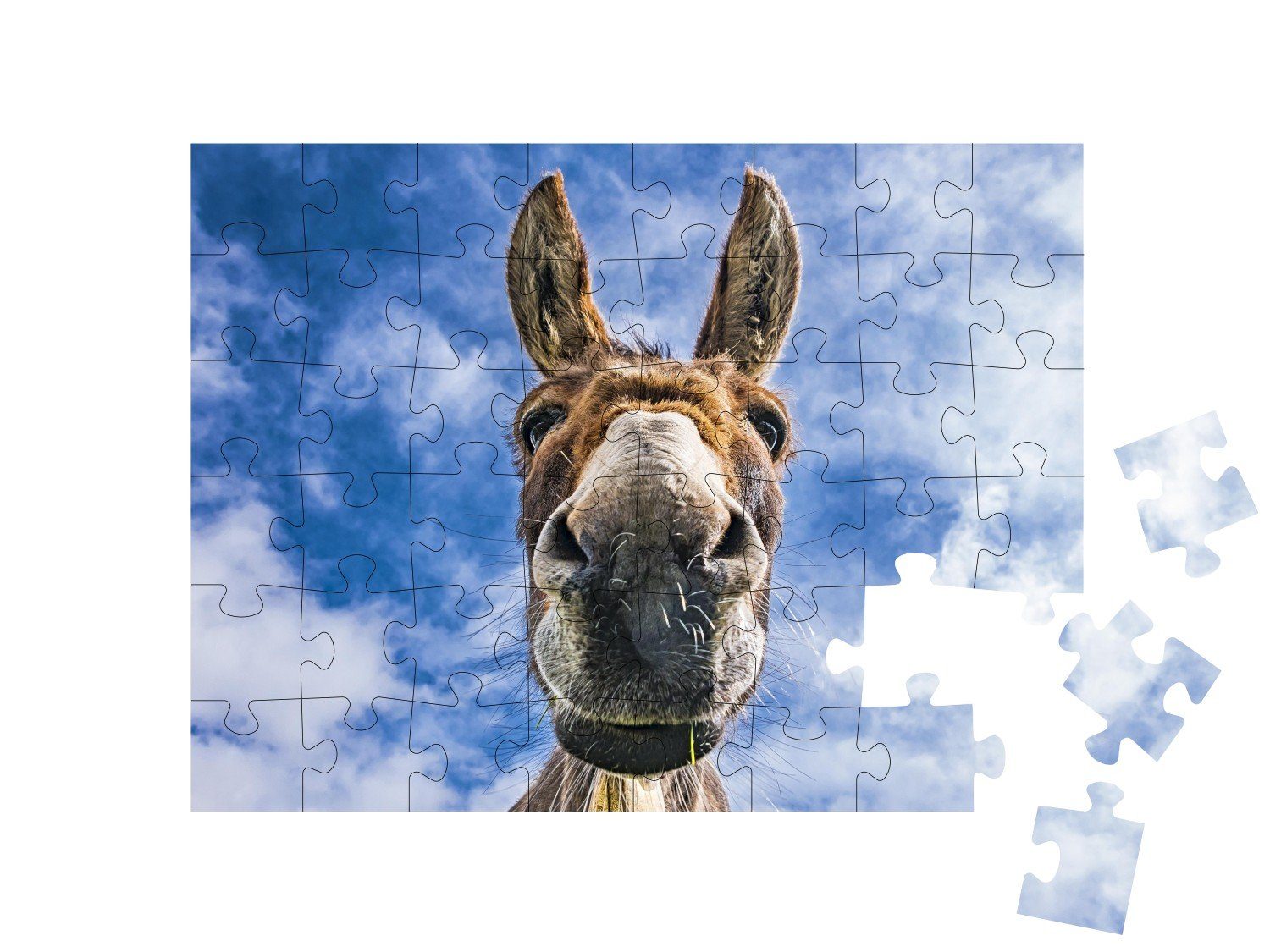 Esel, 48 puzzleYOU-Kollektionen Nahaufnahme, Puzzle Puzzleteile, Bauernhof-Tiere puzzleYOU Esel,