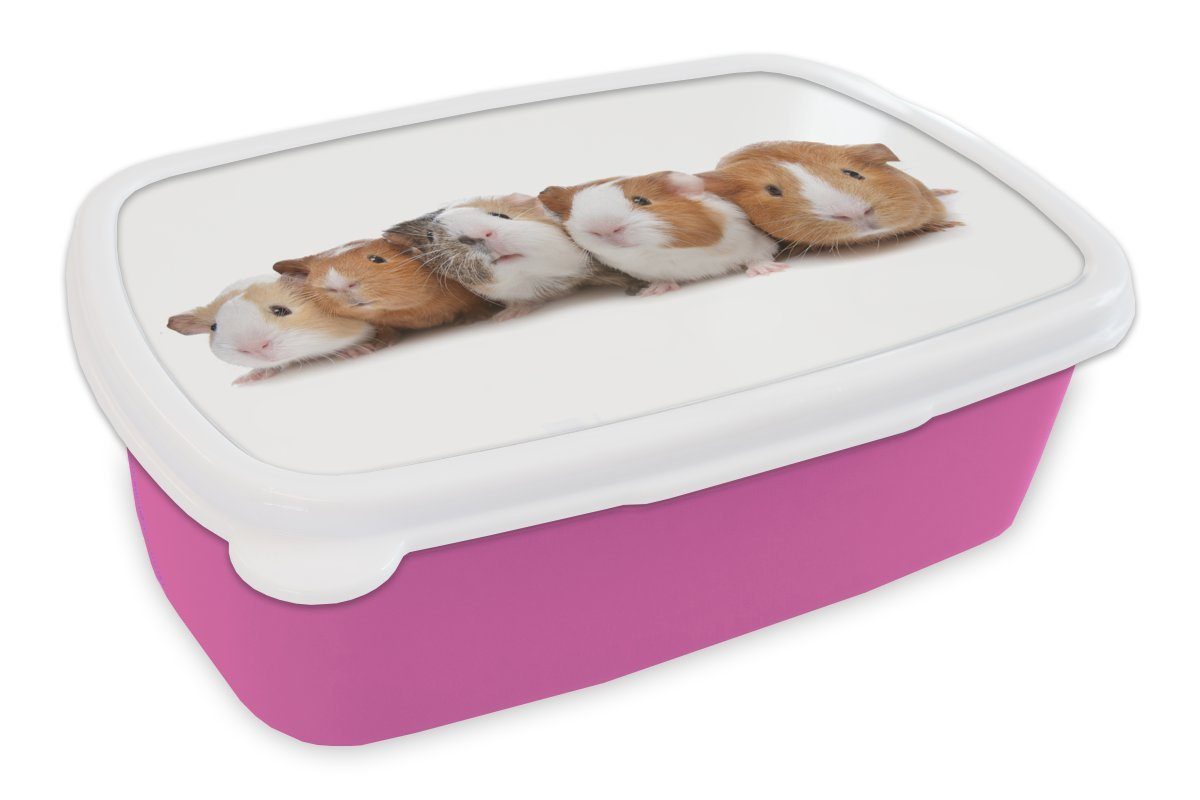 MuchoWow Lunchbox Fünf Meerschweinchen in einer Reihe, Kunststoff, (2-tlg), Brotbox für Erwachsene, Brotdose Kinder, Snackbox, Mädchen, Kunststoff rosa
