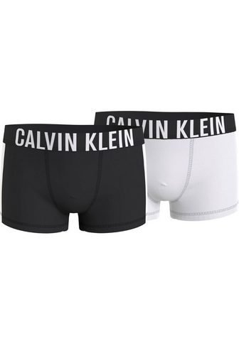Calvin Klein Underwear Calvin KLEIN Kelnaitės šortukai (Set 2...