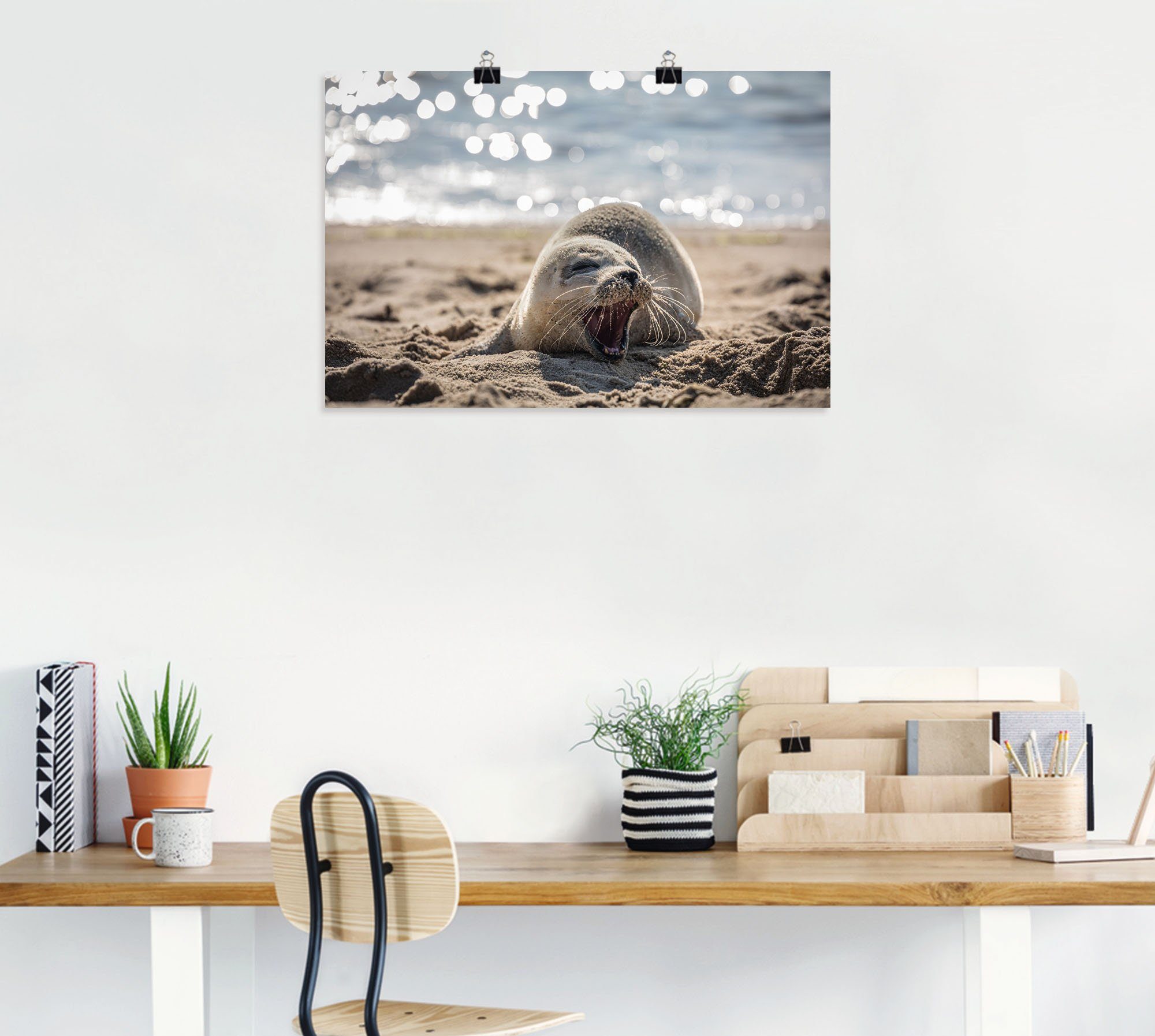 oder Leinwandbild, Artland als Strand (1 in Größen versch. Alubild, Baby-Robbe Wandbild Wandaufkleber List, von Sylt, Poster Robben St), am