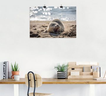Artland Wandbild Baby-Robbe am Strand von List, Sylt, Robben (1 St), als Poster, Wandaufkleber in verschied. Größen