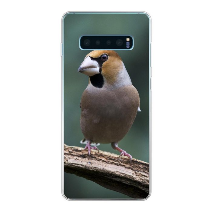 MuchoWow Handyhülle Ein Apfelfink schaut nach rechts in Europa Deutschland Phone Case Handyhülle Samsung Galaxy S10+ Silikon Schutzhülle