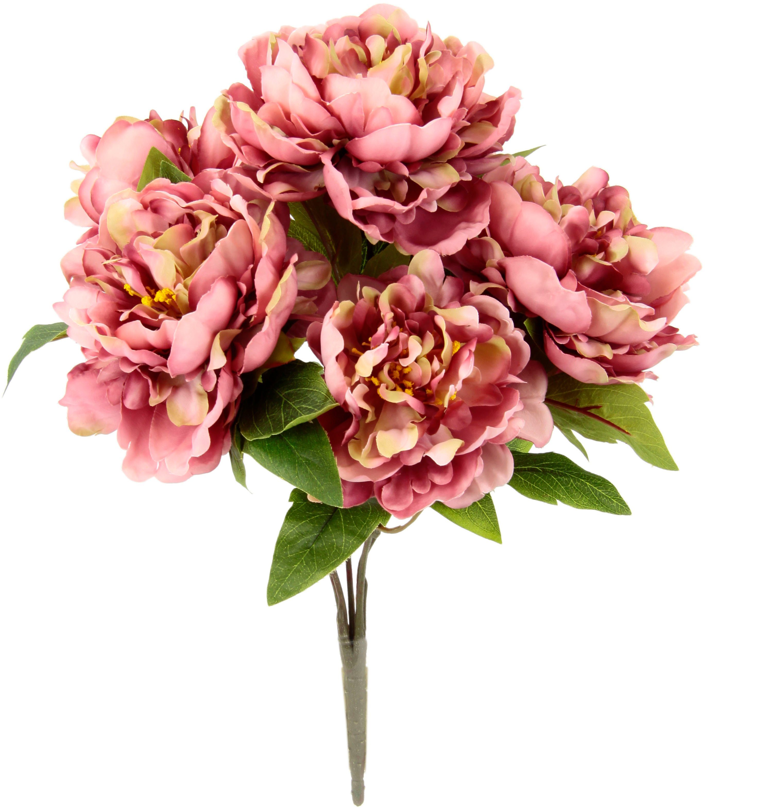 Rosa Schnittblumen online kaufen » Pinke Schnittblumen OTTO