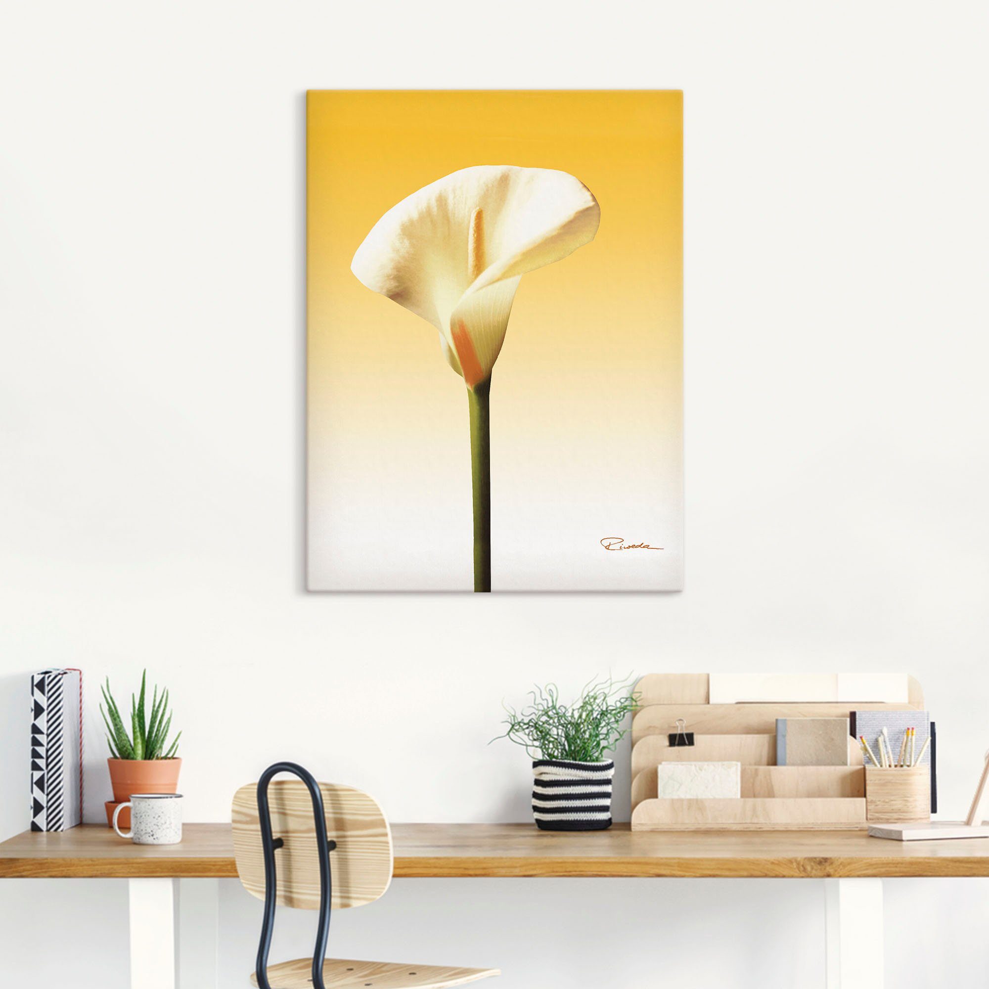 Artland Leinwandbild Sonnenschein Calla II, Blumenbilder (1 St), auf Holzrahmen gespannt