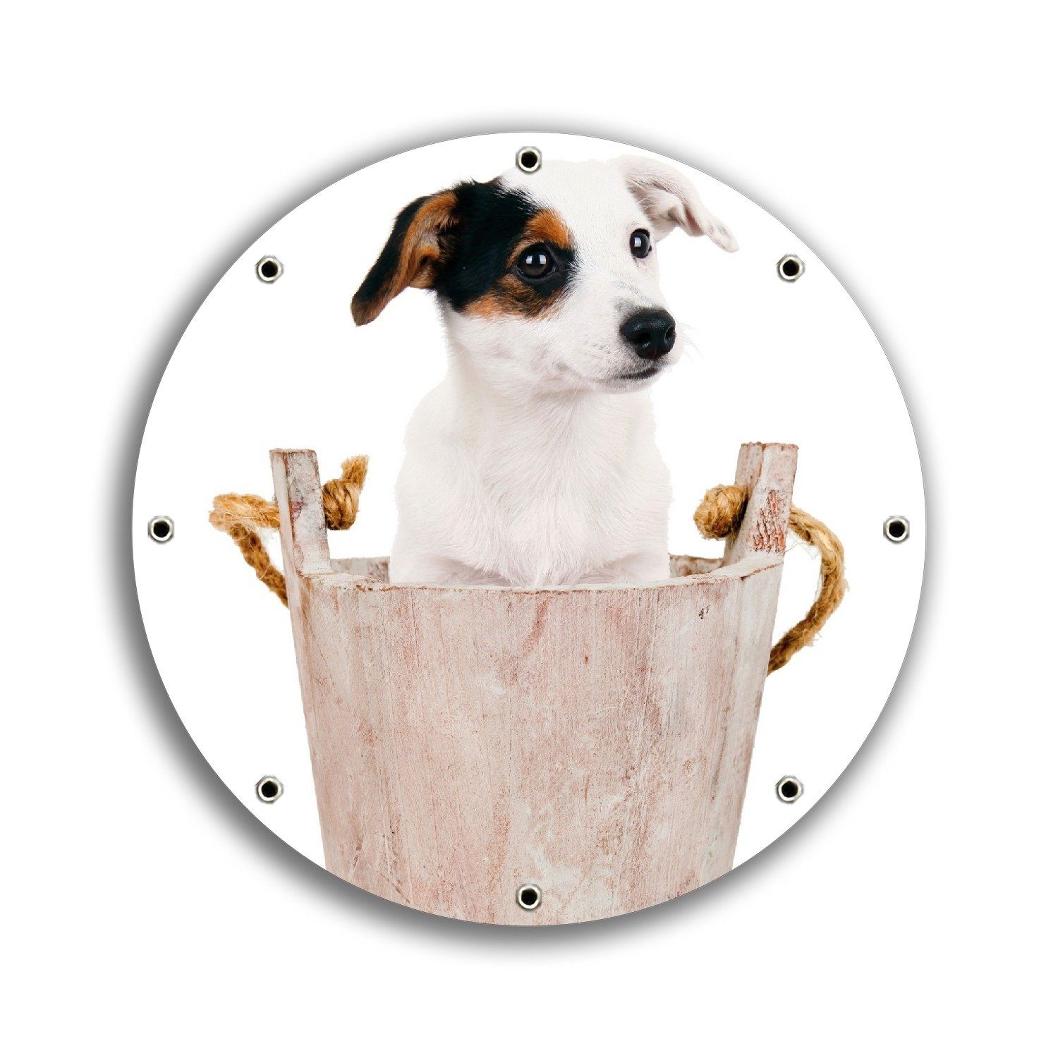 Wallario Sichtschutzzaunmatten Hunde-Welpe Jack Russel Terrier in einem Holzeimer, rund